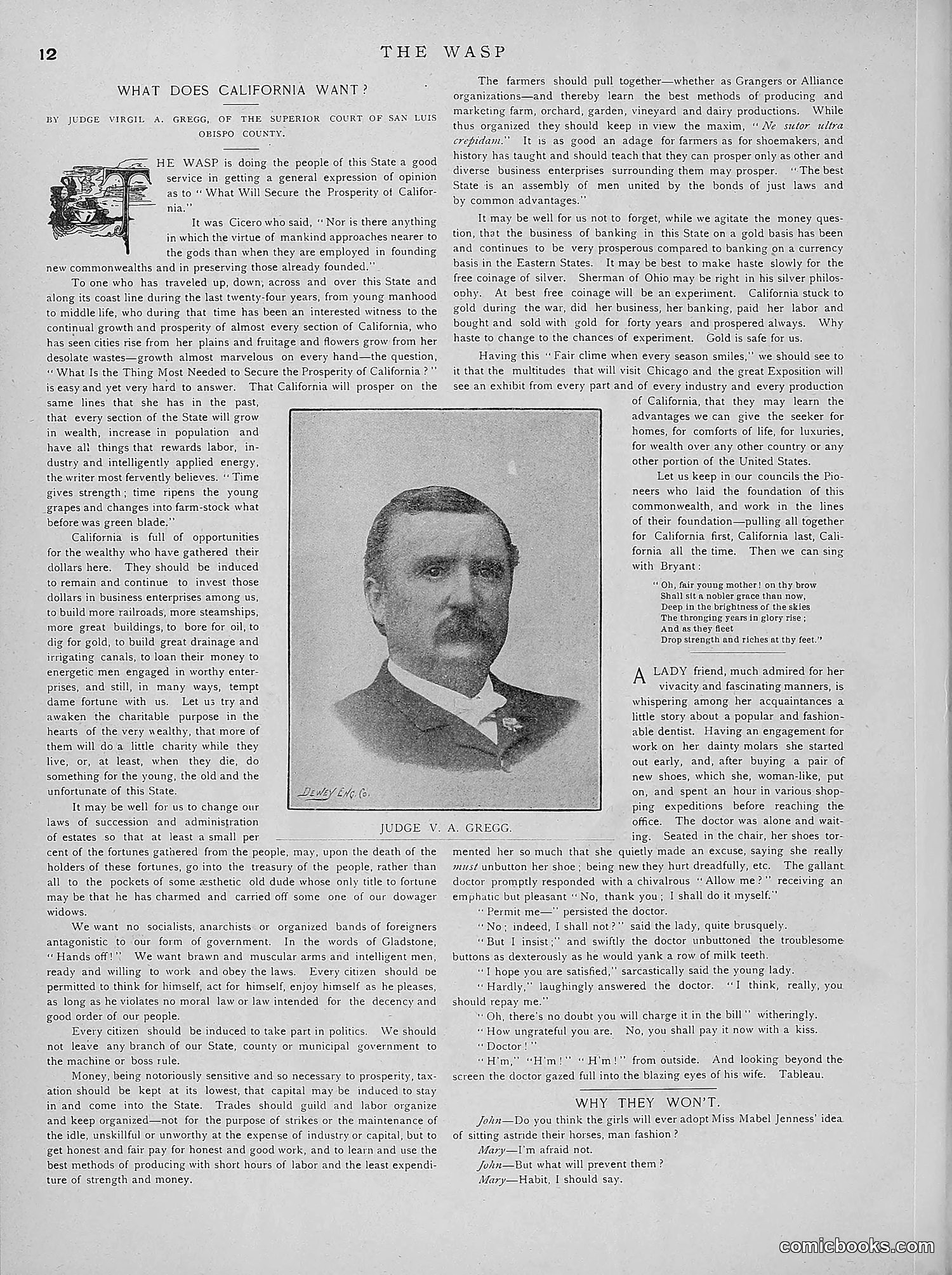 The Wasp — 1891 — page 263 of 546