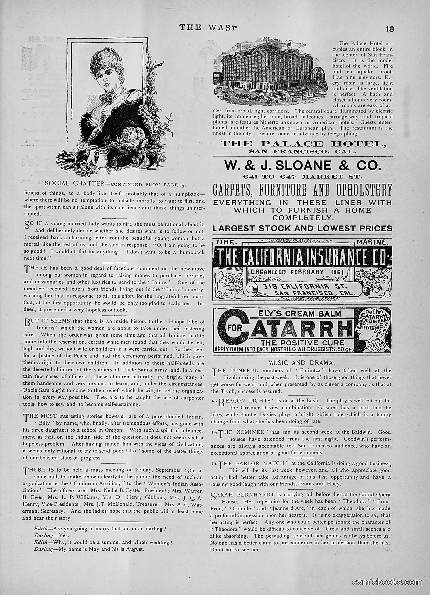The Wasp — 1891 — page 264 of 546