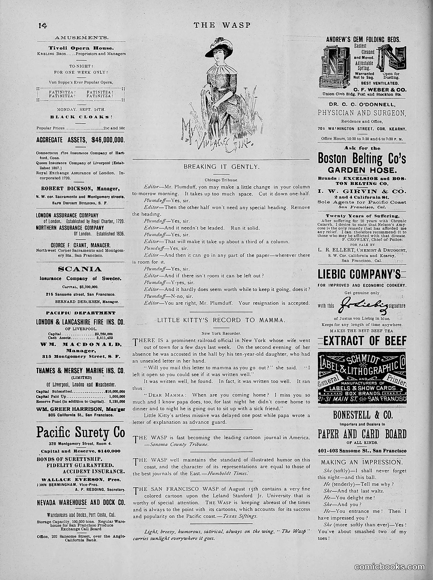 The Wasp — 1891 — page 265 of 546