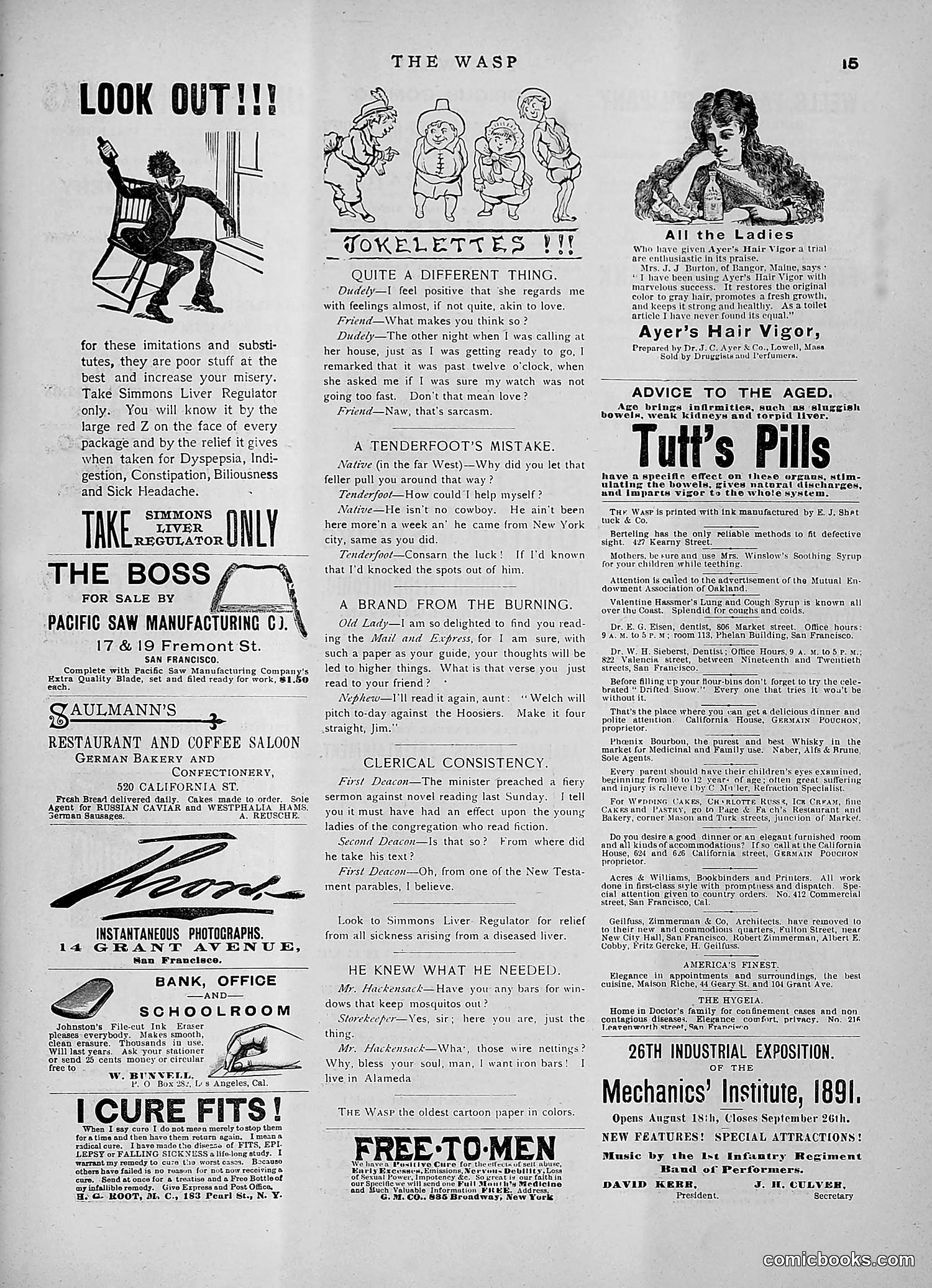 The Wasp — 1891 — page 266 of 546