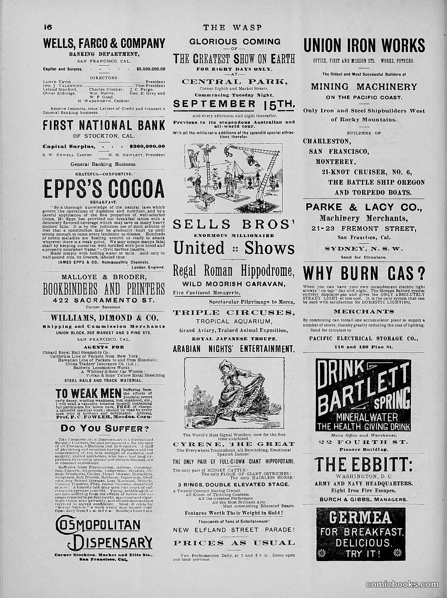 The Wasp — 1891 — page 267 of 546