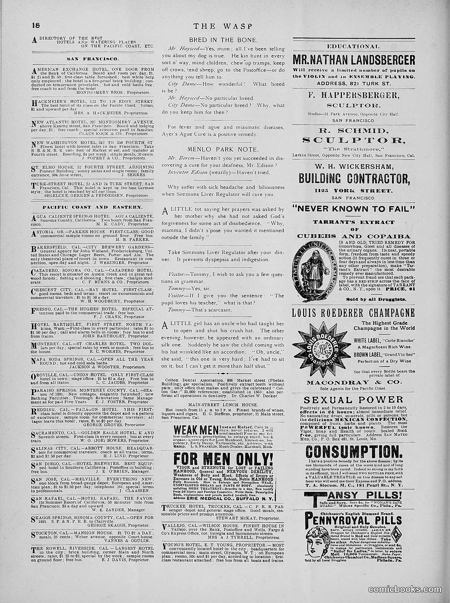 The Wasp — 1891 — page 269 of 546