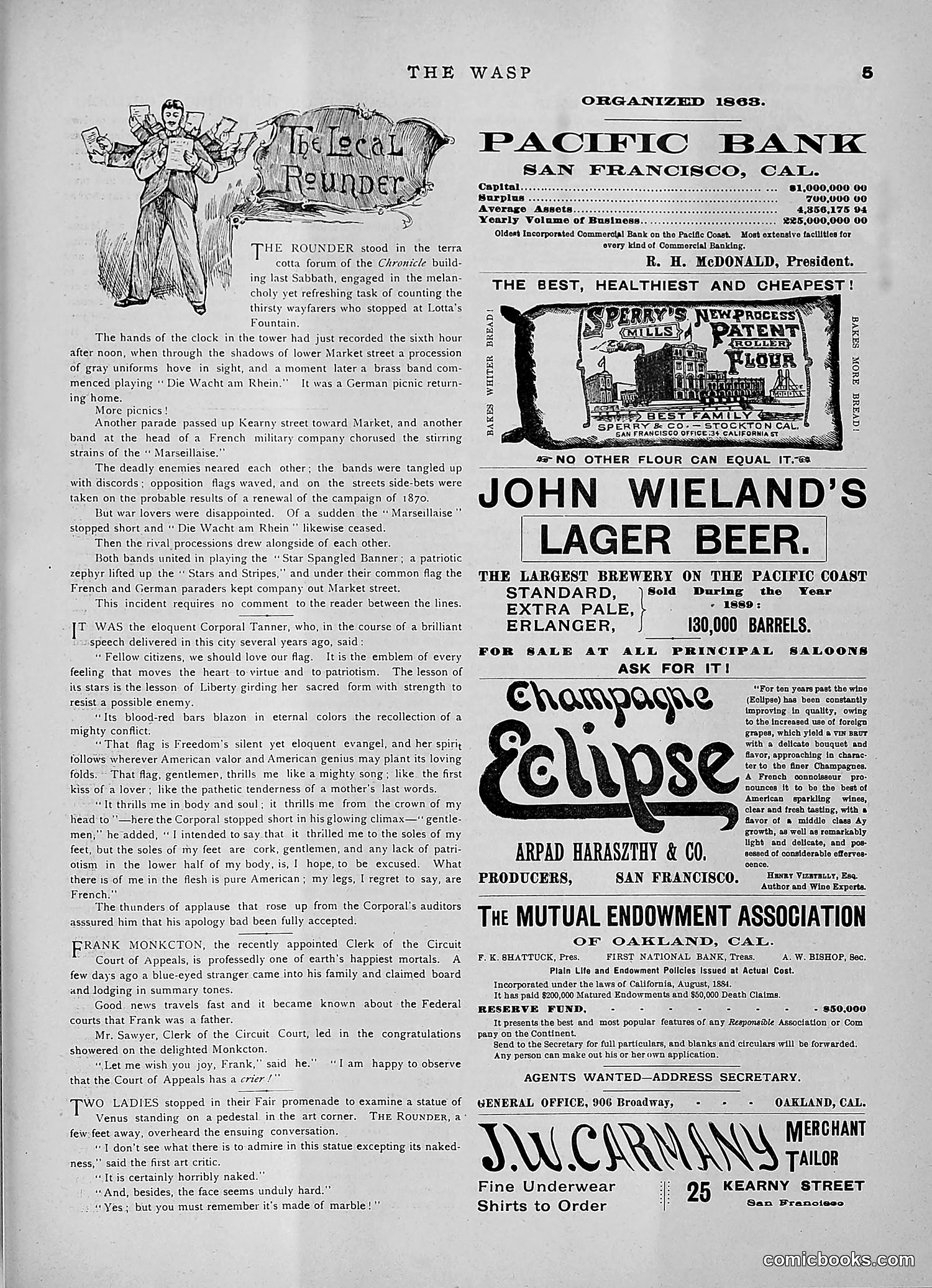 The Wasp — 1891 — page 276 of 546