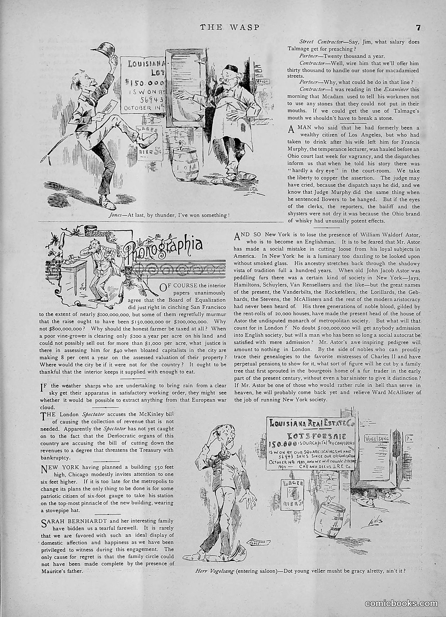 The Wasp — 1891 — page 278 of 546