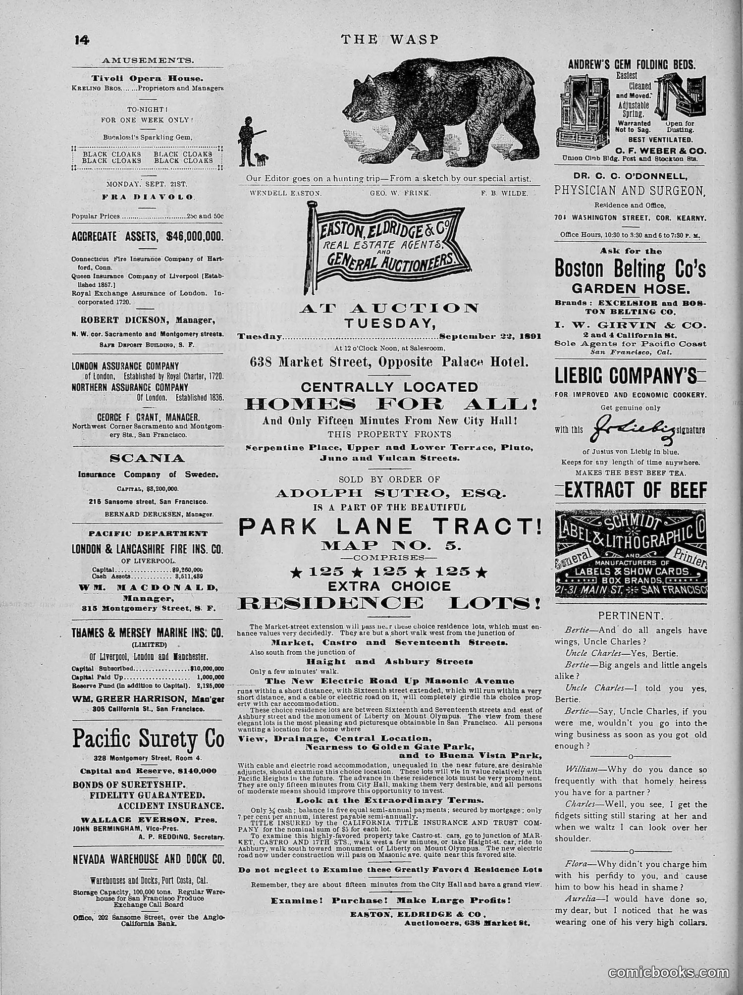 The Wasp — 1891 — page 285 of 546