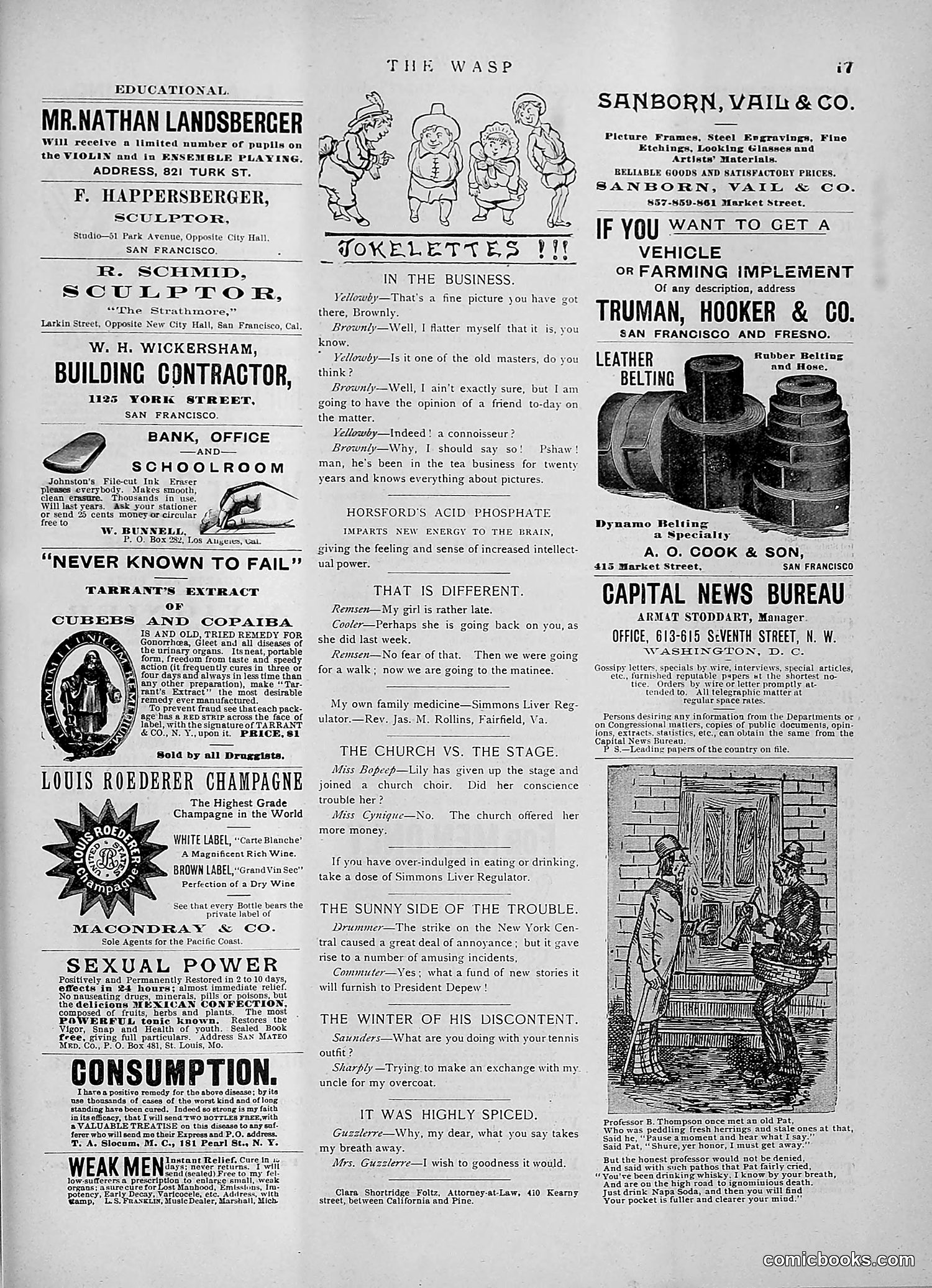 The Wasp — 1891 — page 288 of 546