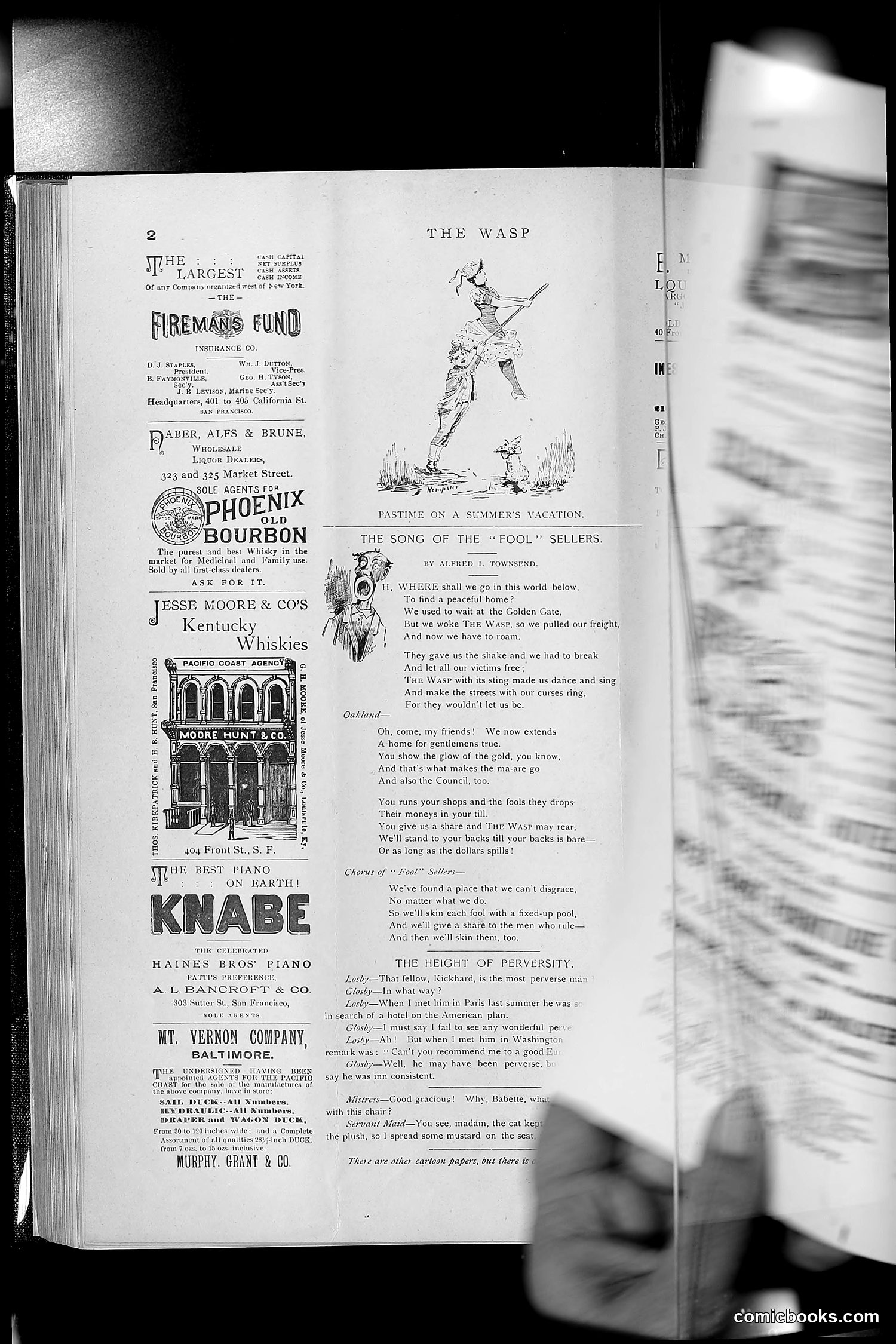 The Wasp — 1891 — page 295 of 546