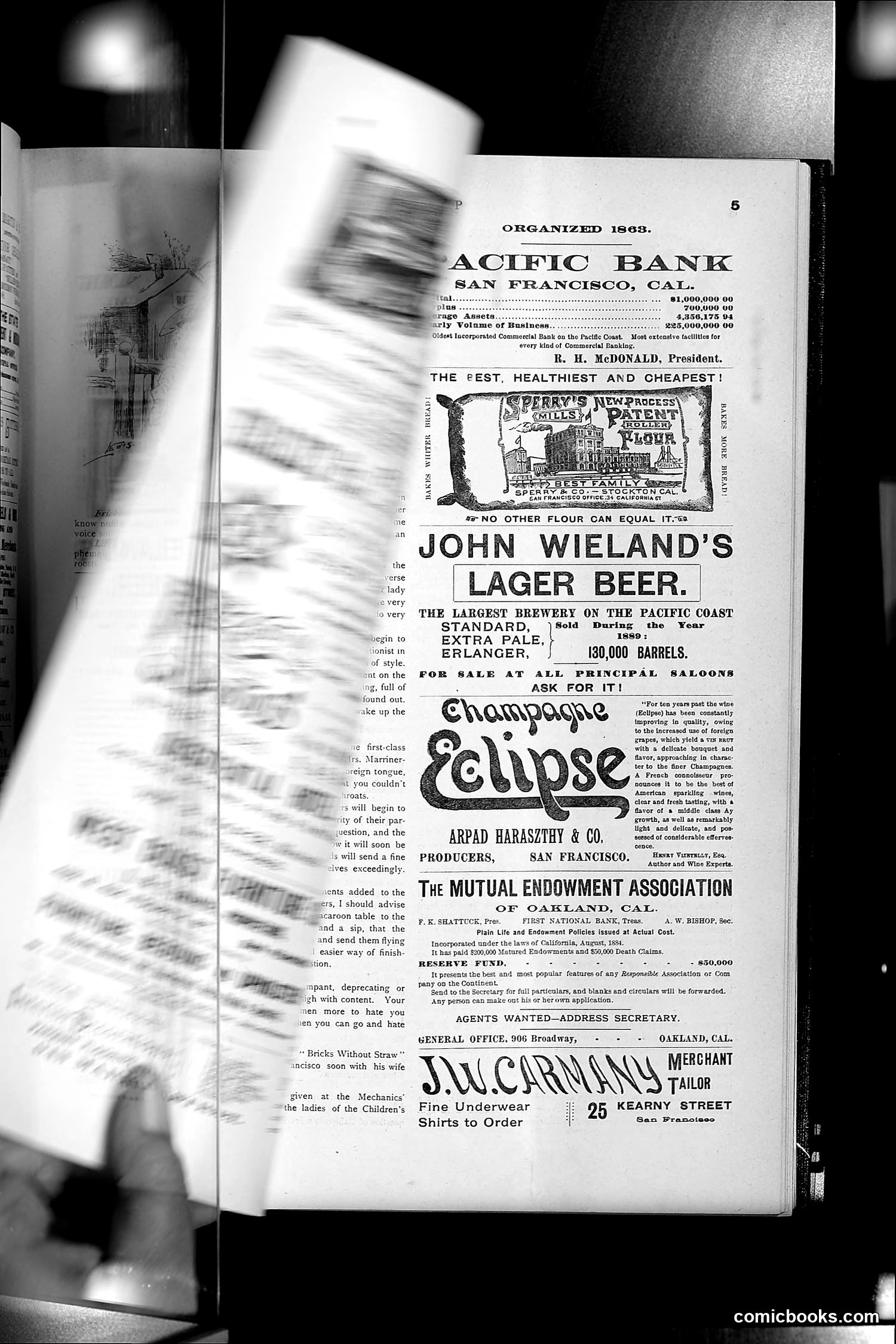 The Wasp — 1891 — page 296 of 546