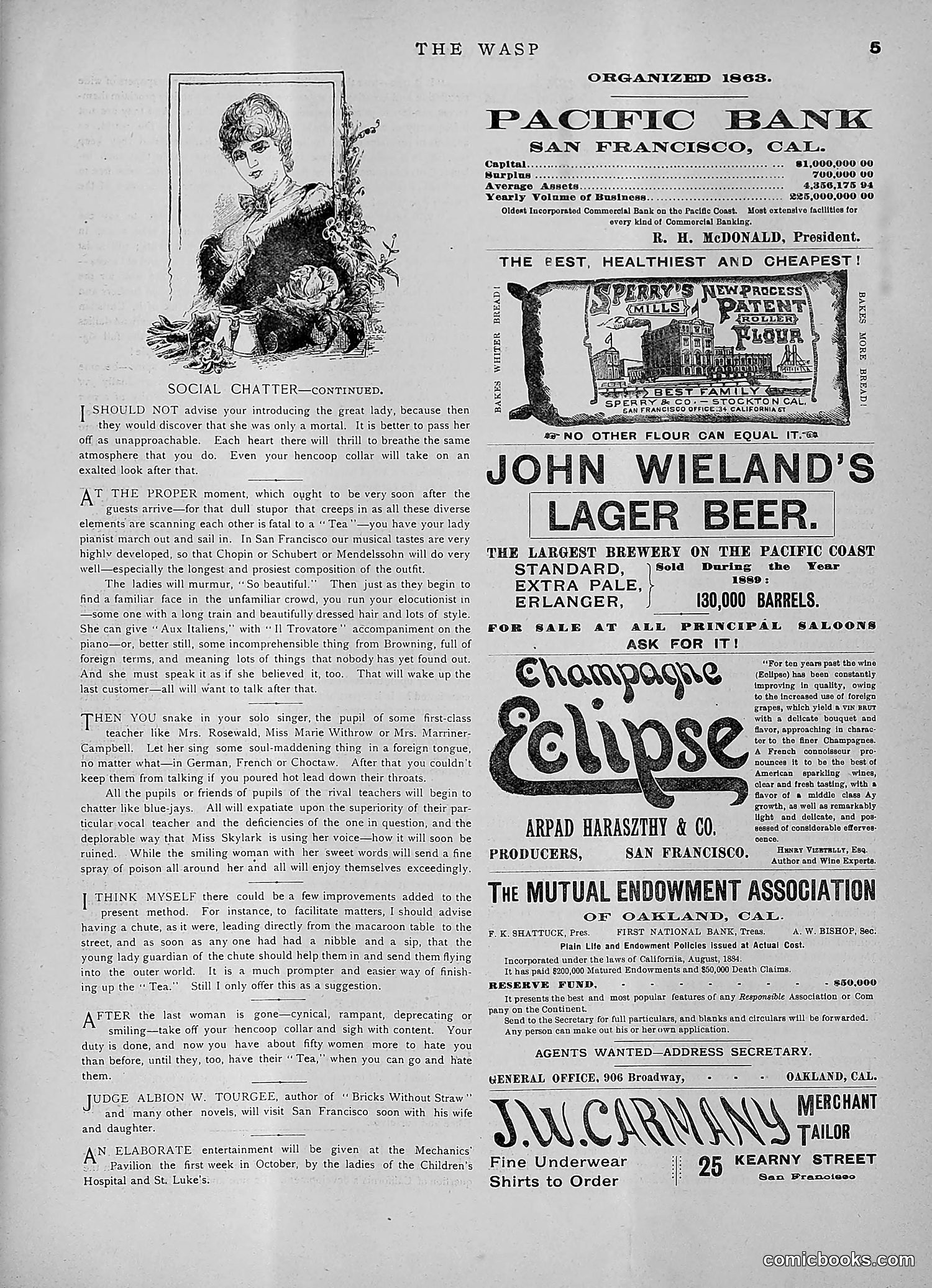 The Wasp — 1891 — page 298 of 546