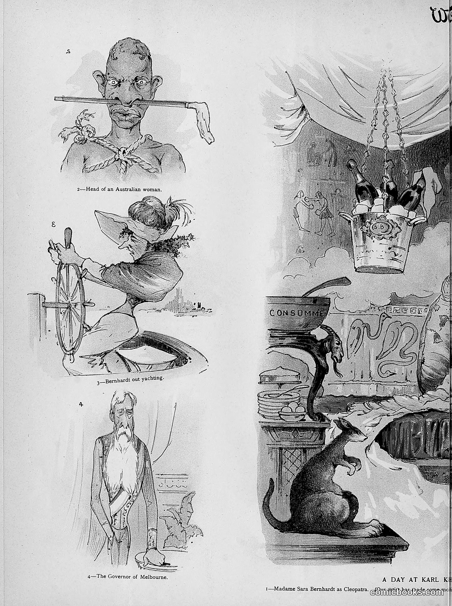 The Wasp — 1891 — page 303 of 546