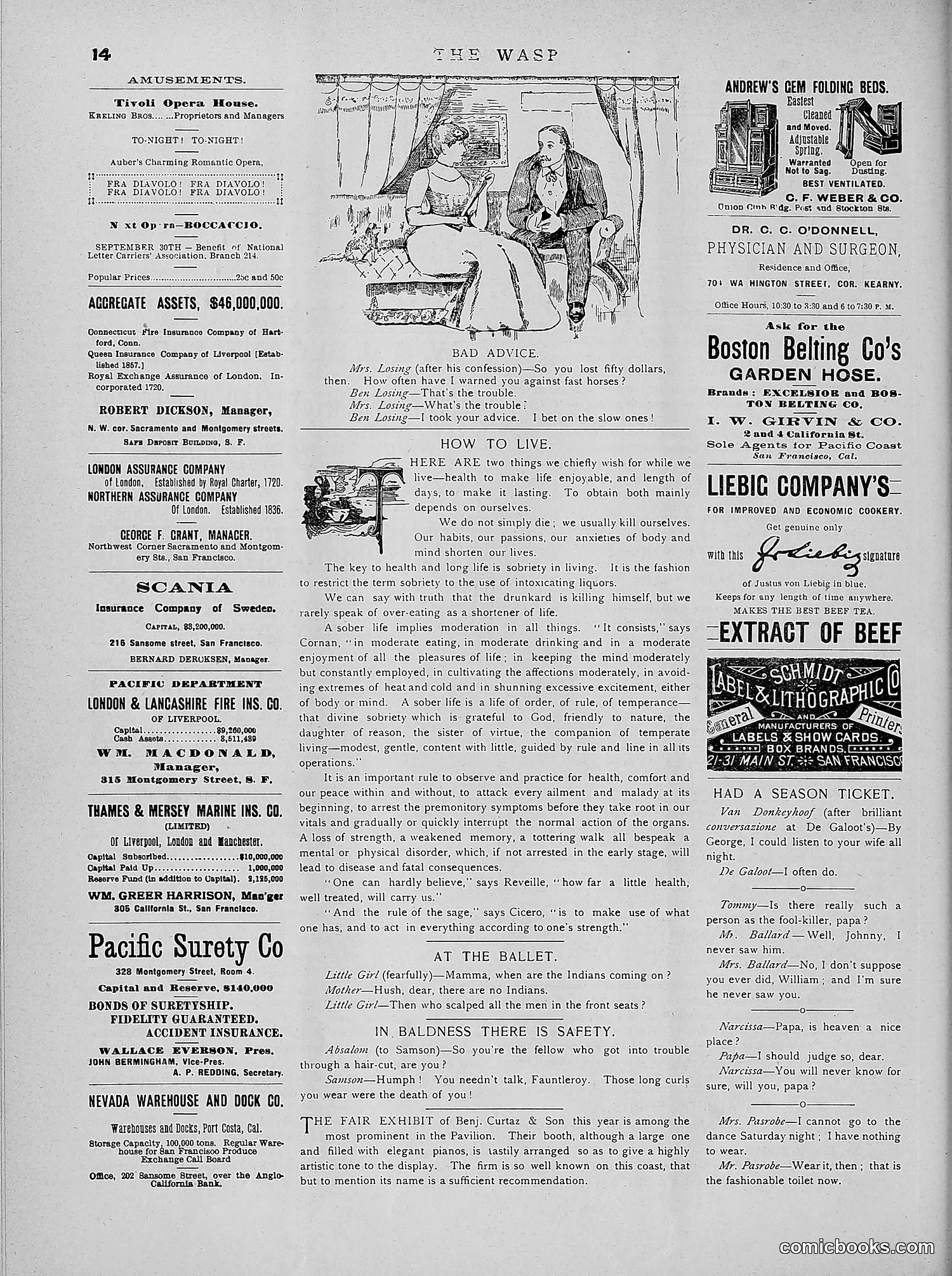 The Wasp — 1891 — page 307 of 546