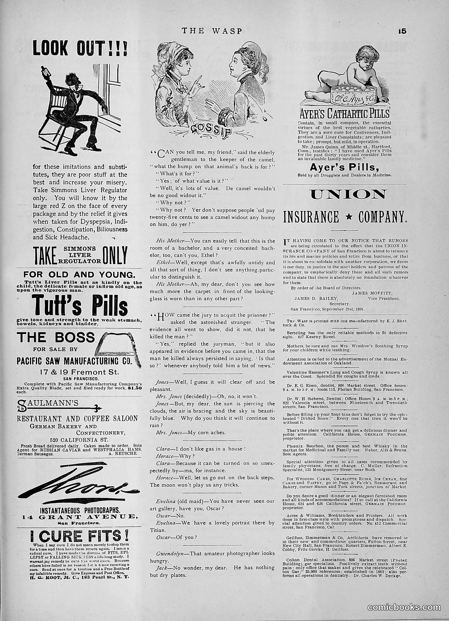 The Wasp — 1891 — page 308 of 546