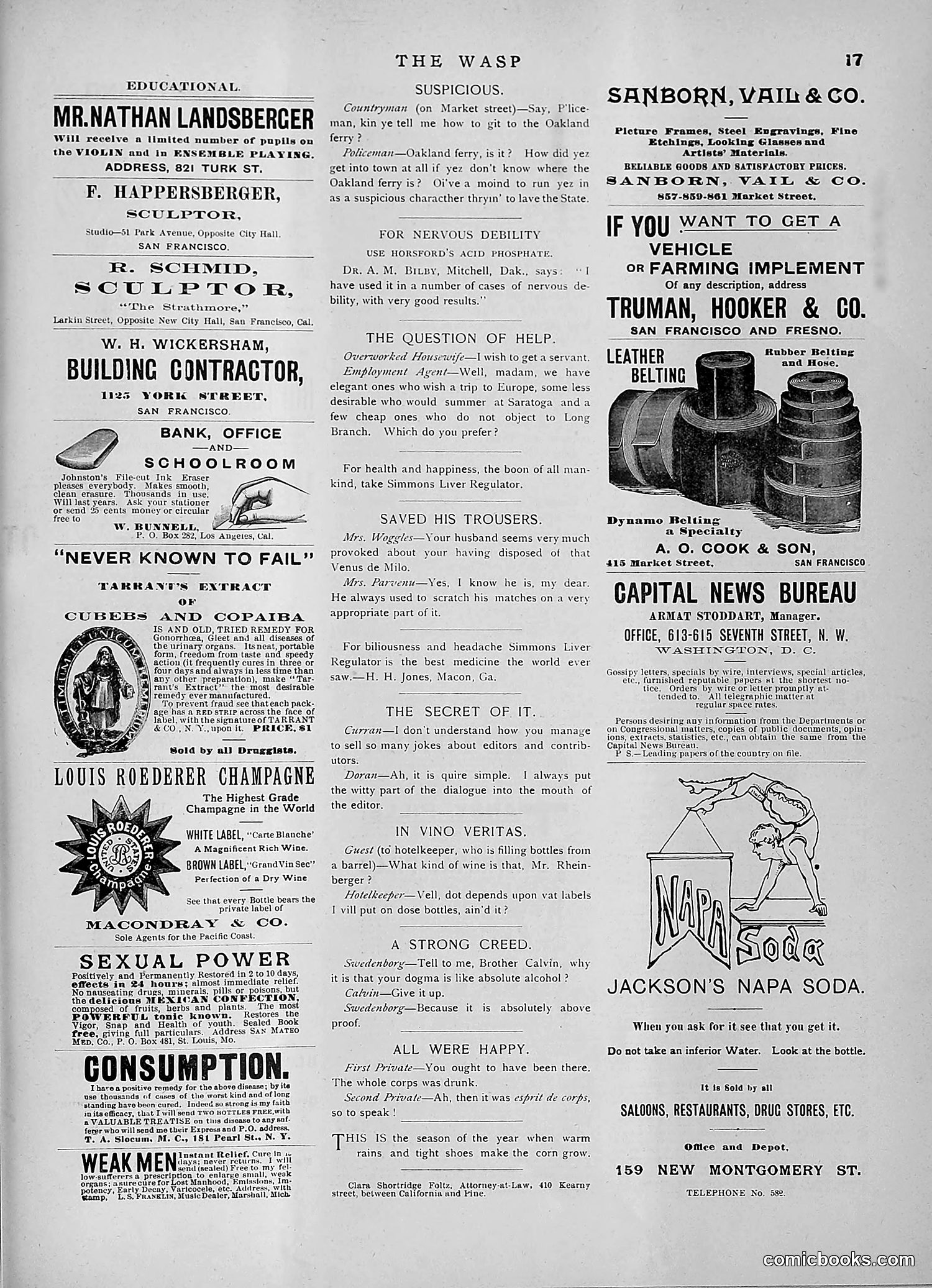The Wasp — 1891 — page 310 of 546
