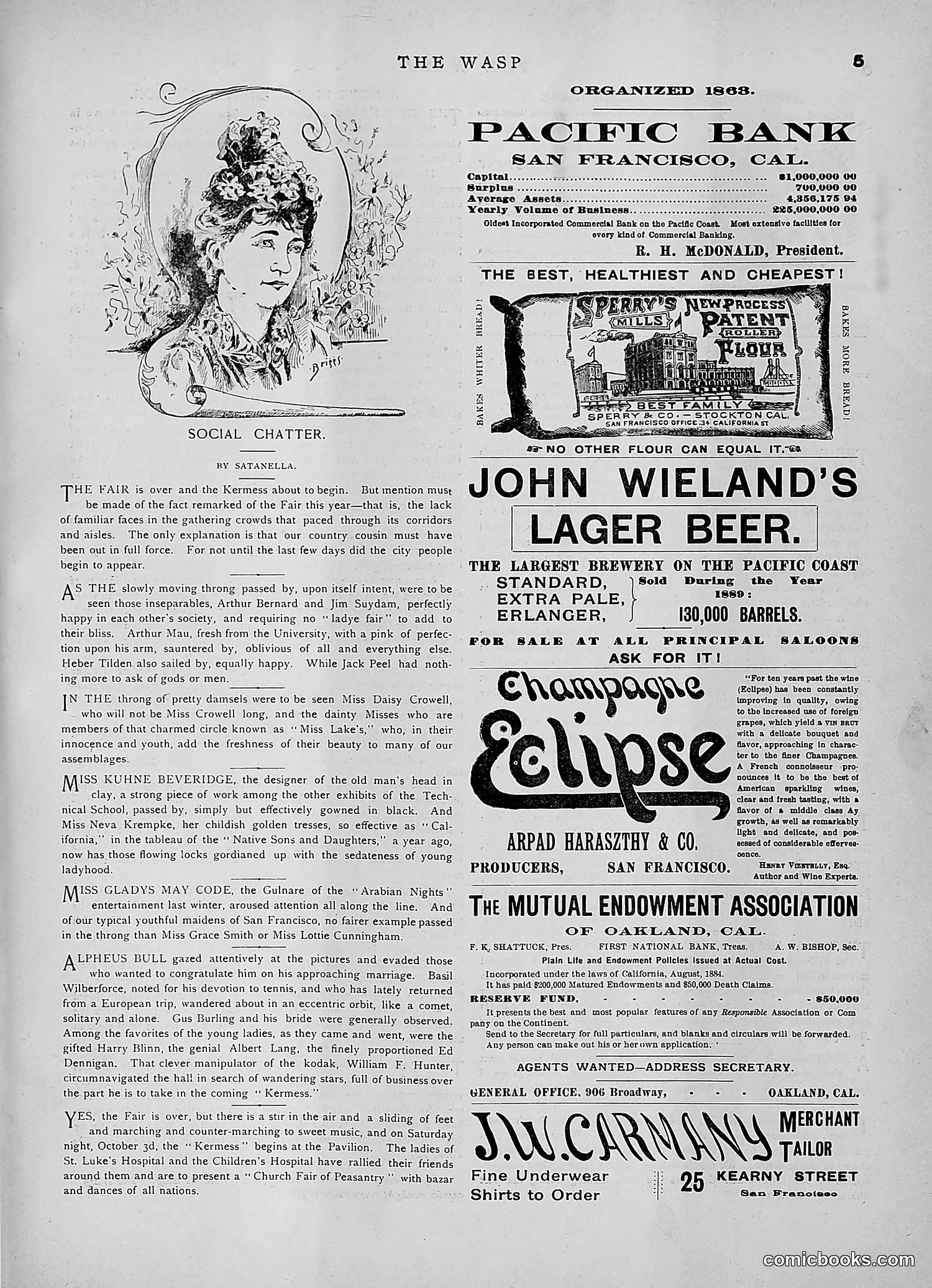 The Wasp — 1891 — page 318 of 546