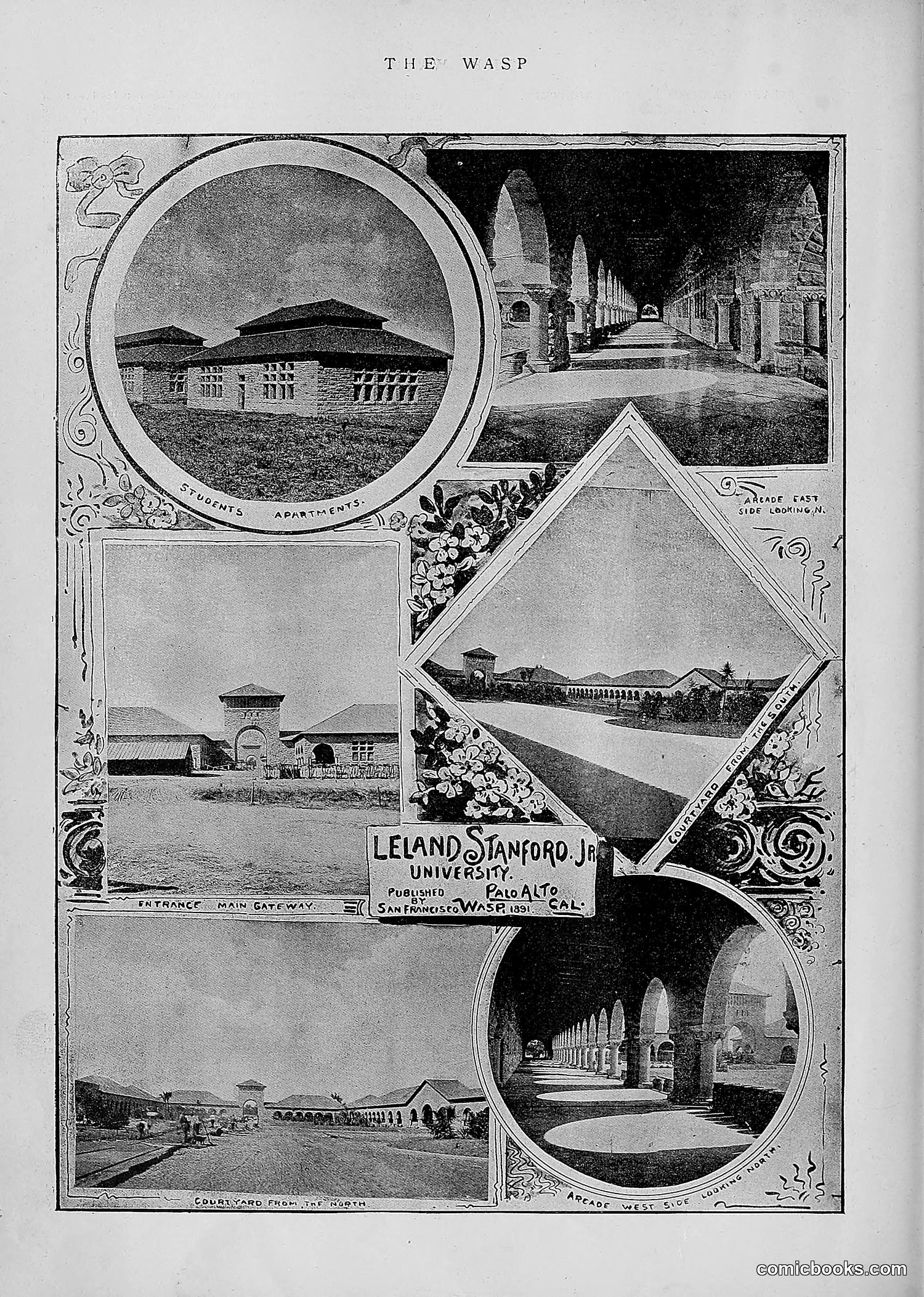 The Wasp — 1891 — page 33 of 546