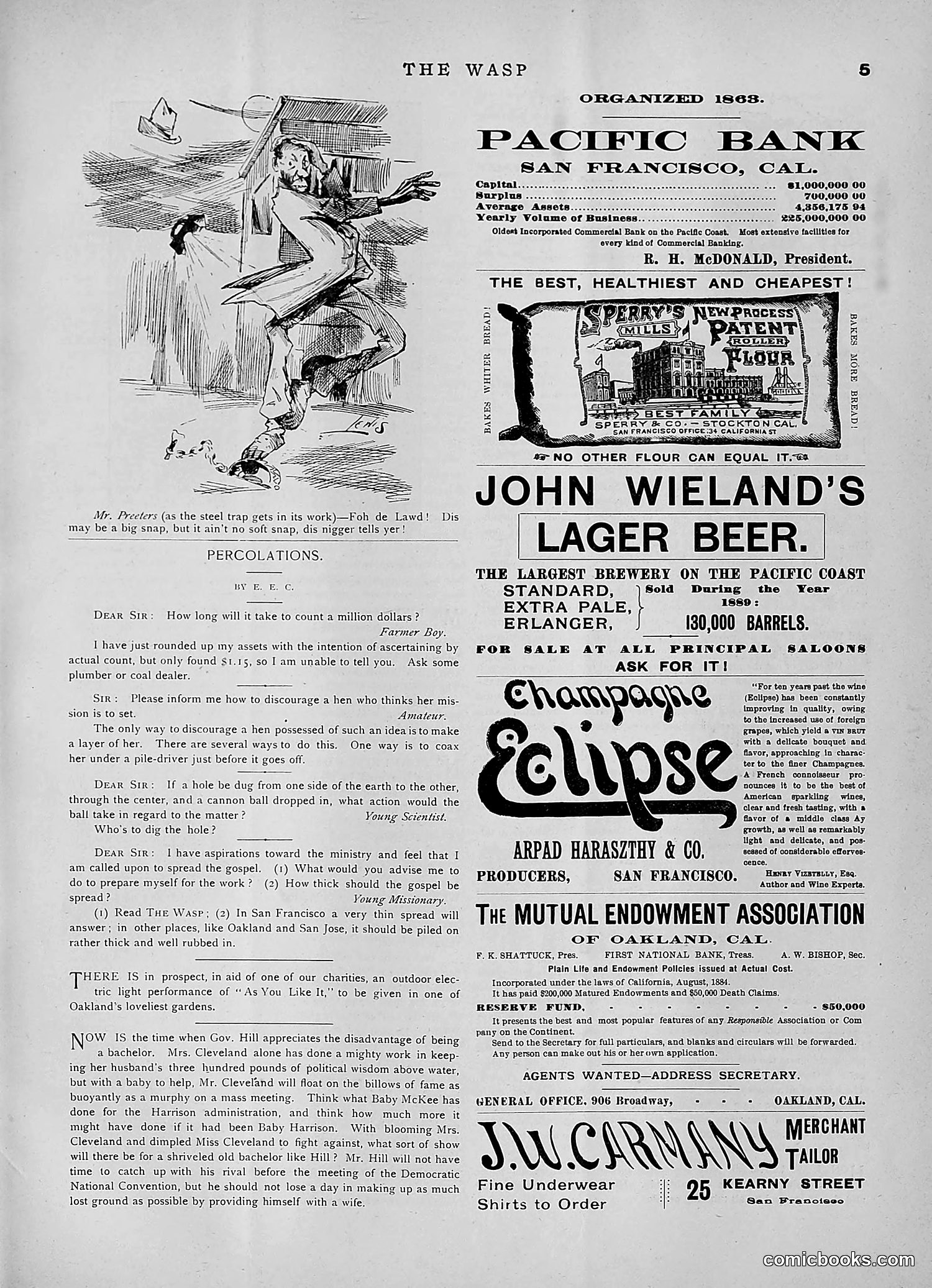 The Wasp — 1891 — page 338 of 546