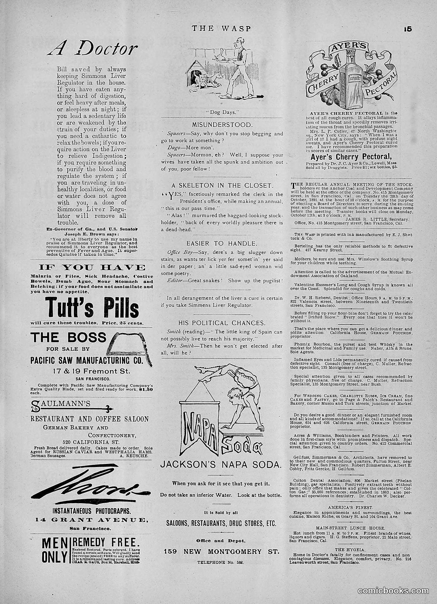 The Wasp — 1891 — page 348 of 546
