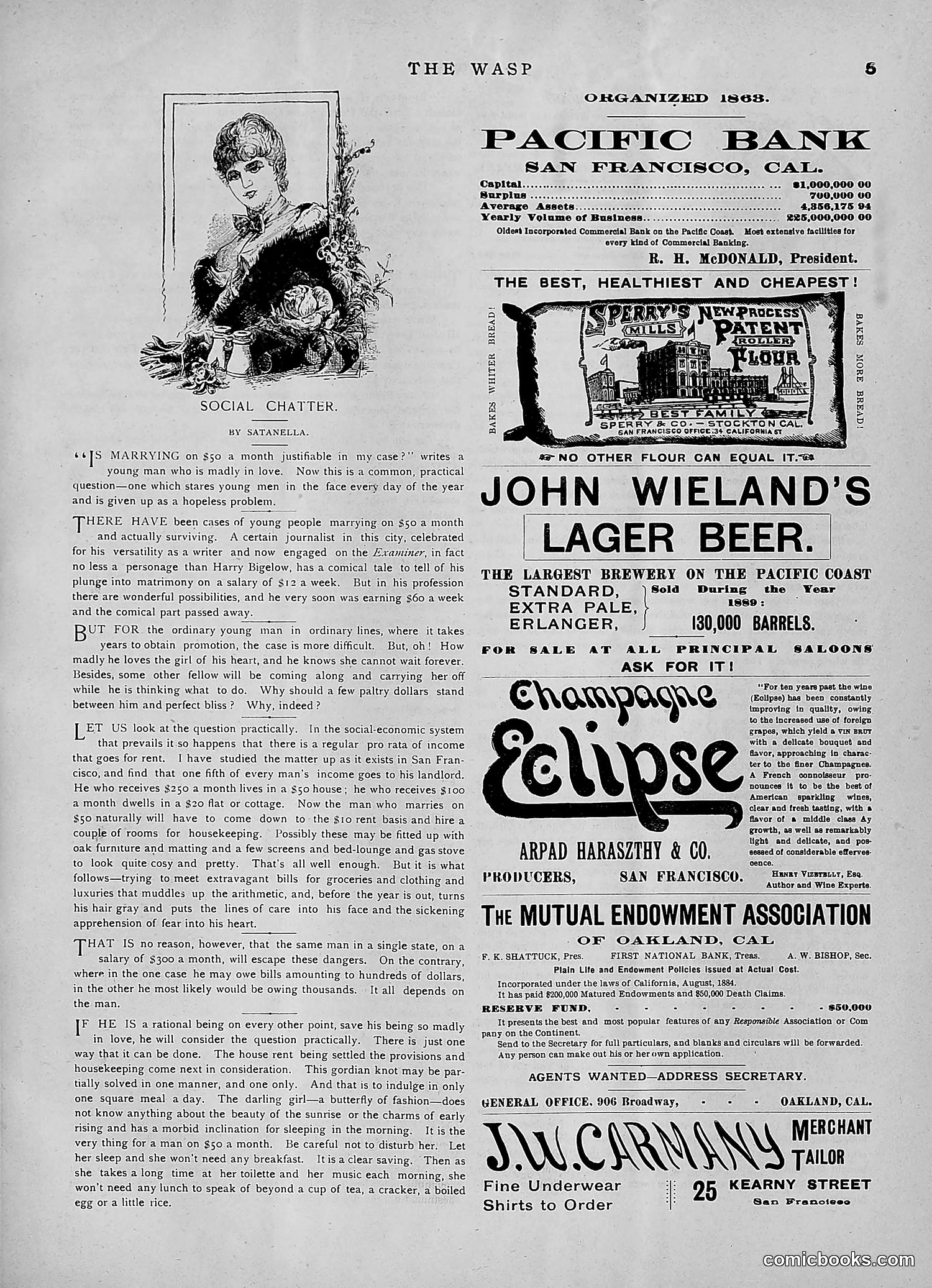 The Wasp — 1891 — page 358 of 546