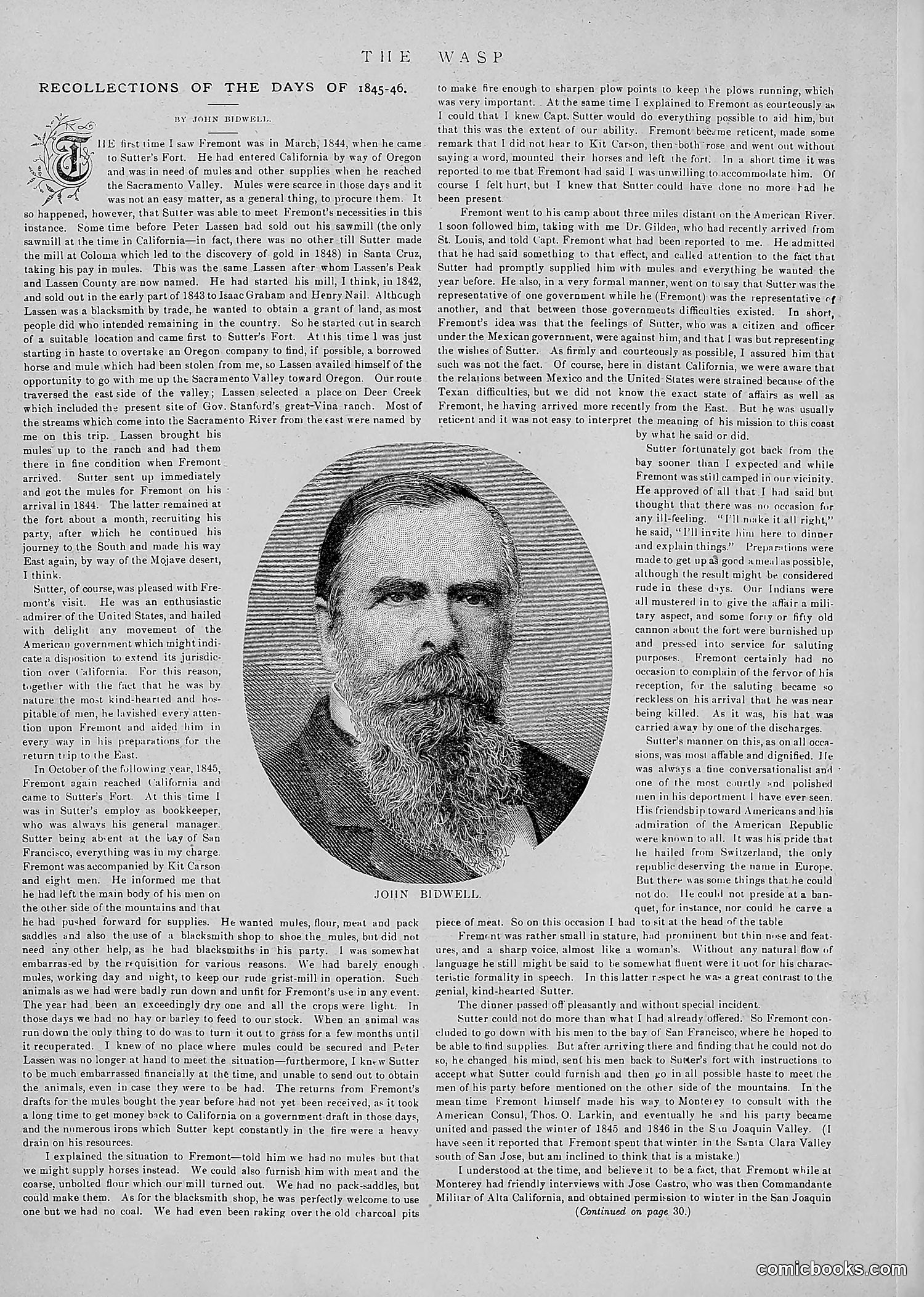 The Wasp — 1891 — page 37 of 546