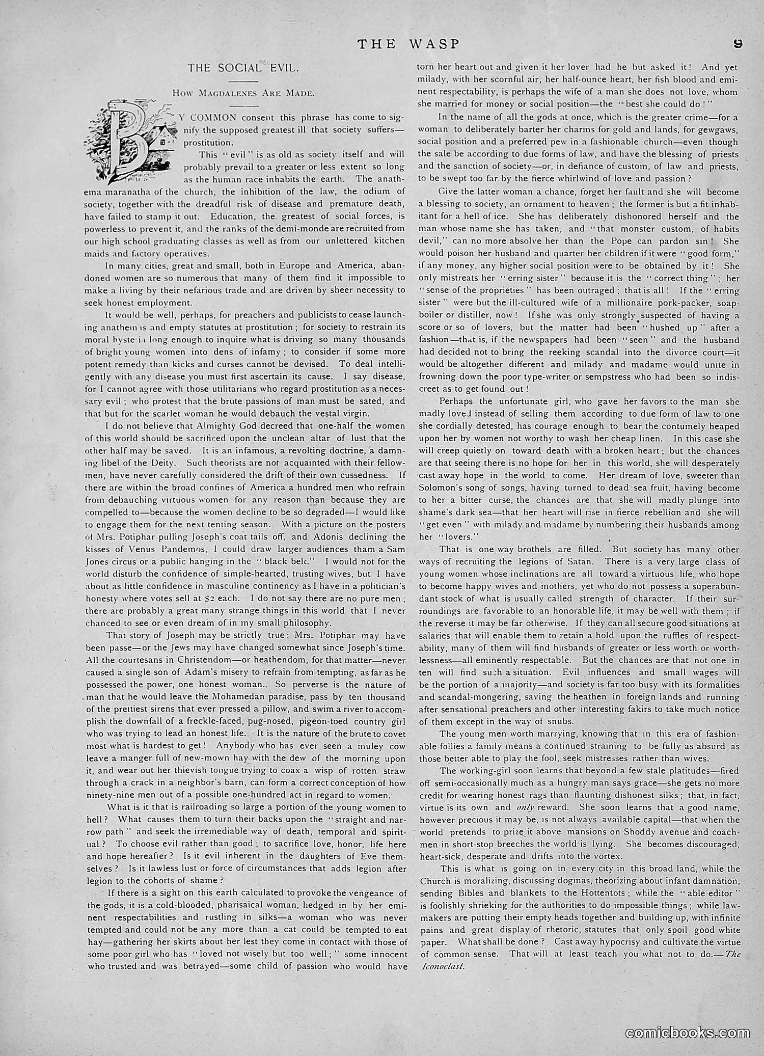 The Wasp — 1891 — page 362 of 546