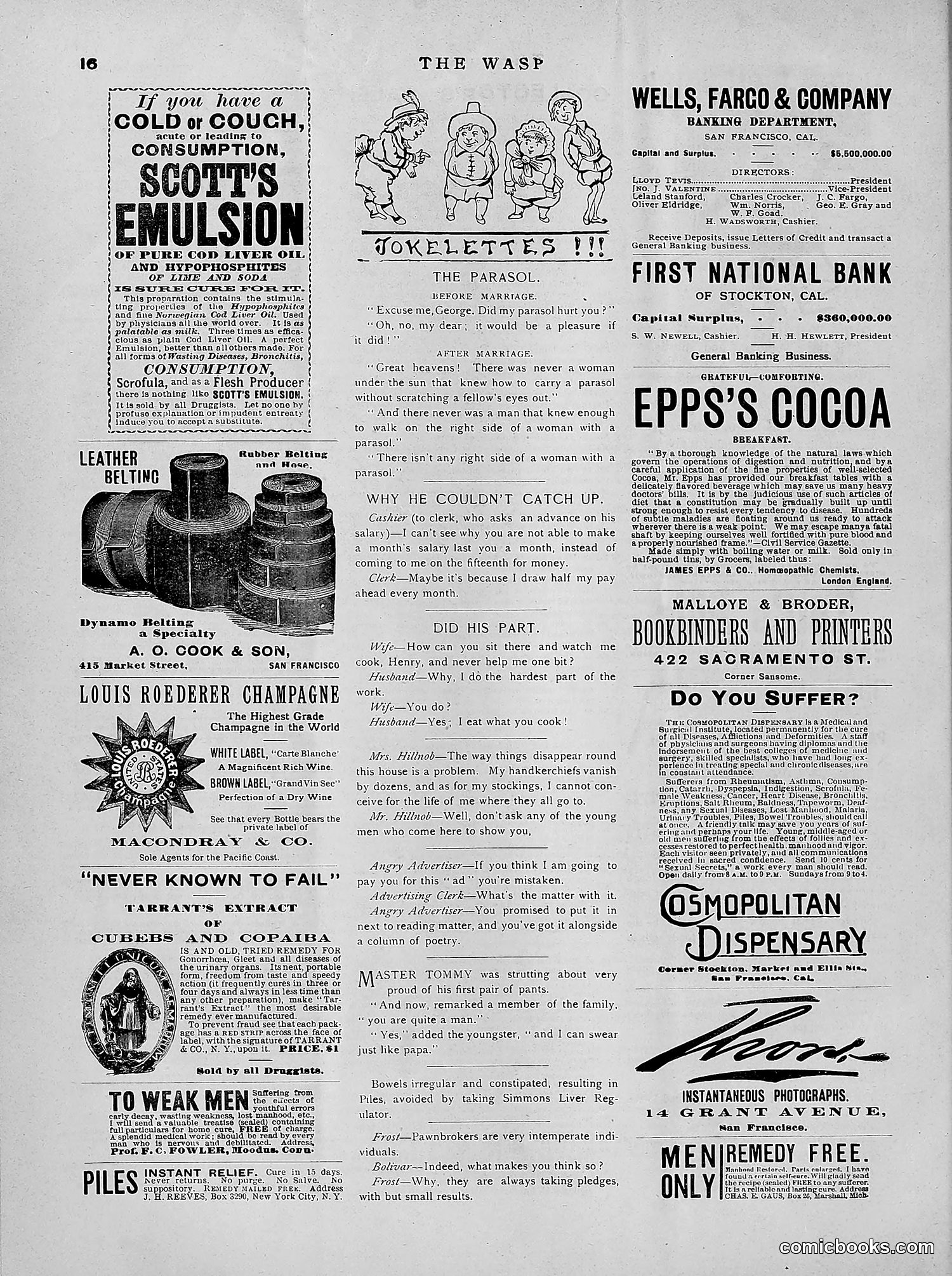The Wasp — 1891 — page 369 of 546