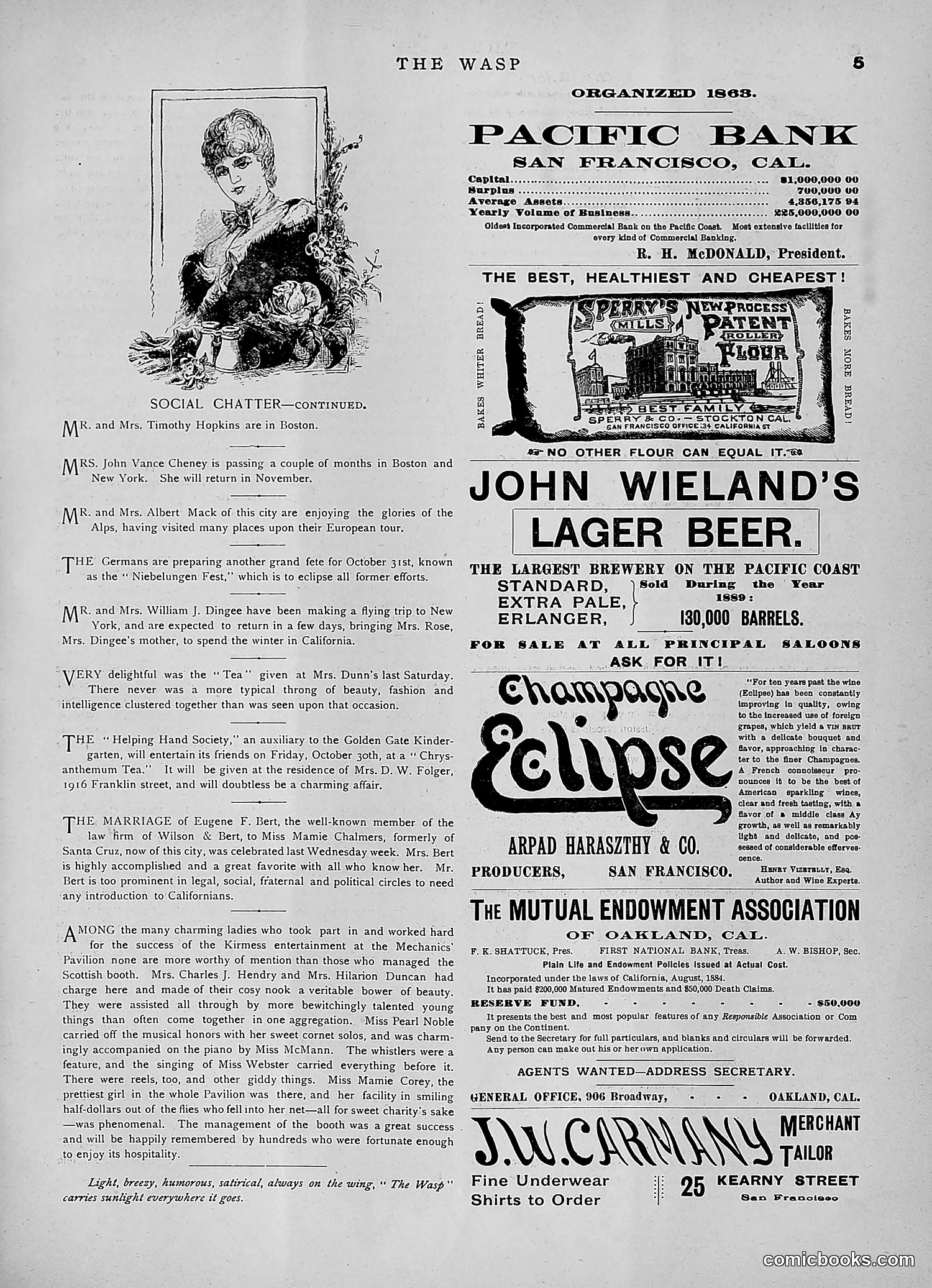 The Wasp — 1891 — page 378 of 546