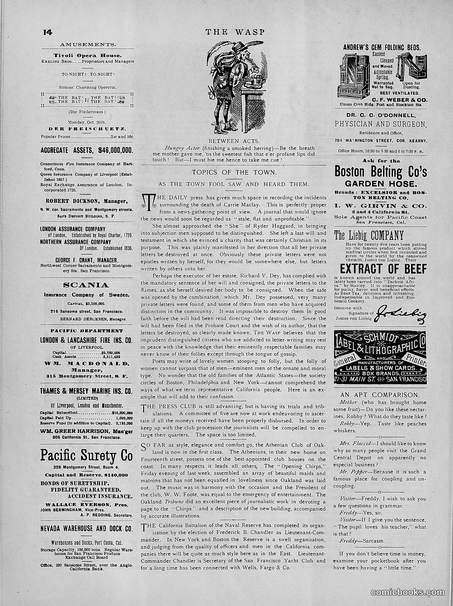 The Wasp — 1891 — page 387 of 546