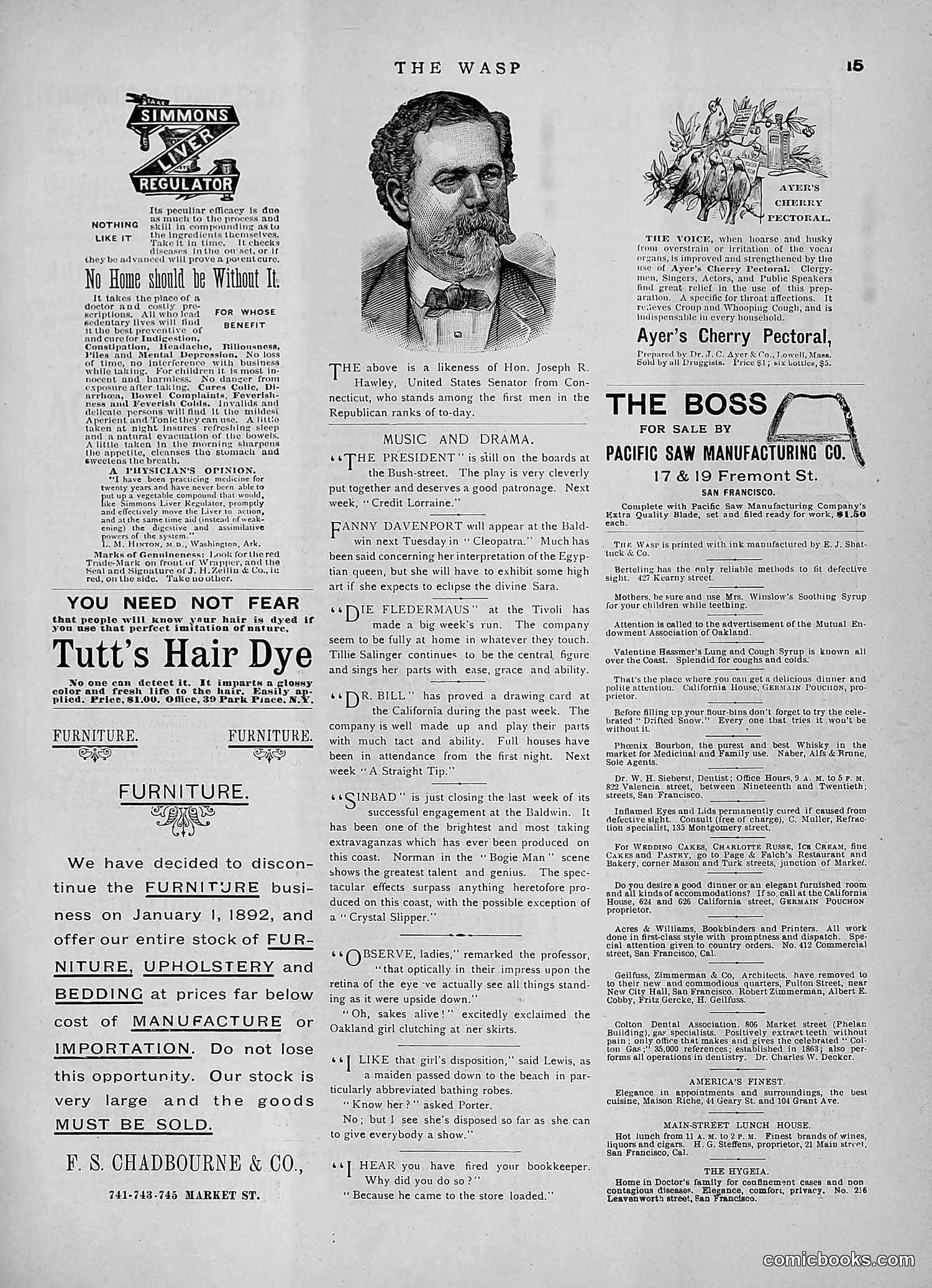The Wasp — 1891 — page 388 of 546