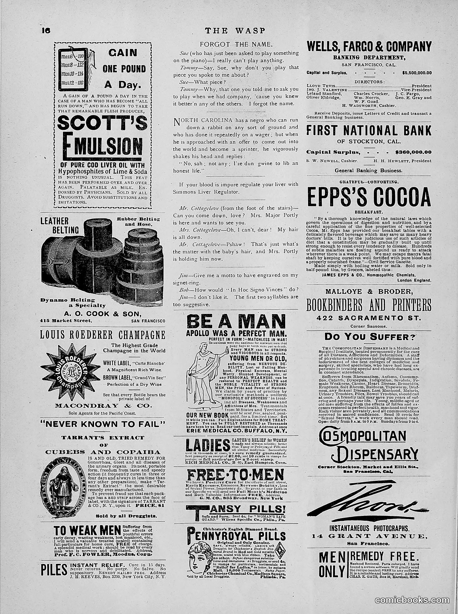 The Wasp — 1891 — page 389 of 546