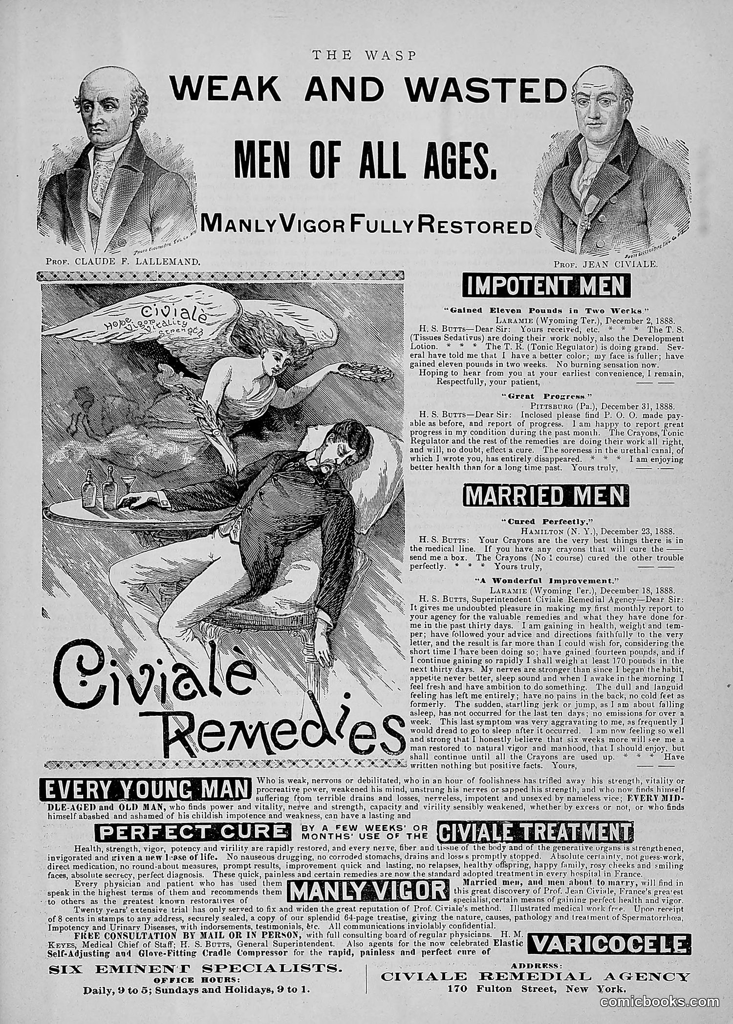 The Wasp — 1891 — page 40 of 546