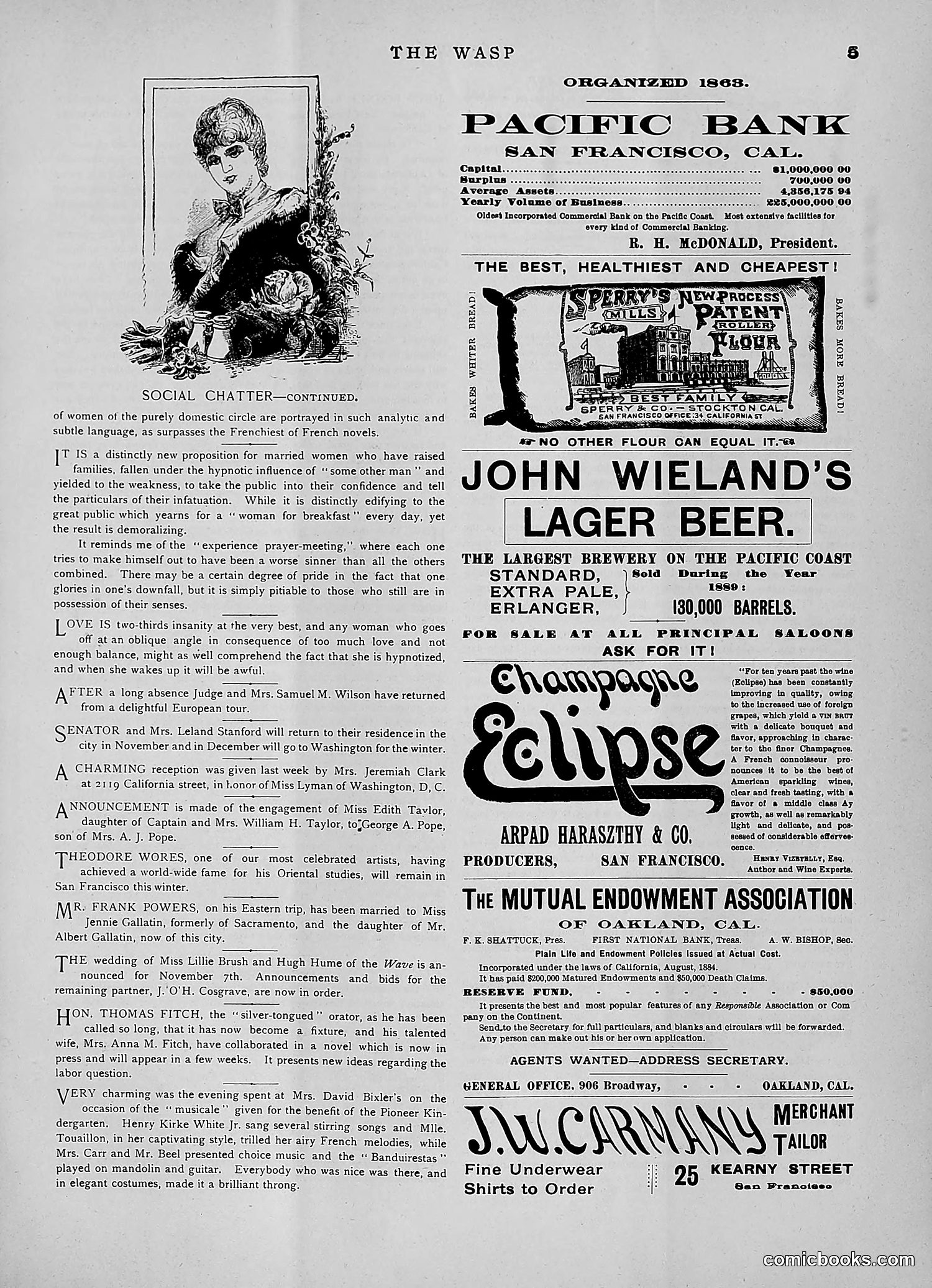 The Wasp — 1891 — page 398 of 546