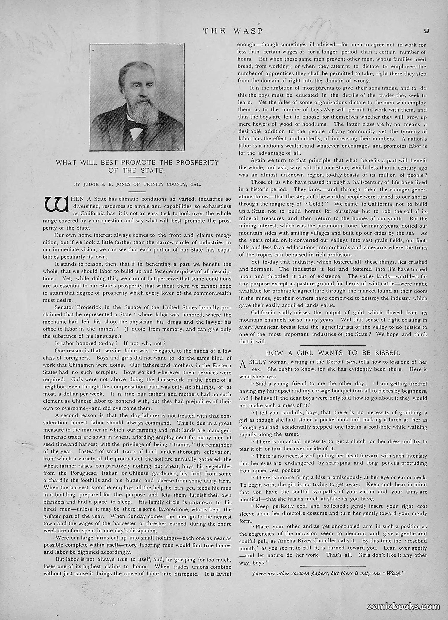 The Wasp — 1891 — page 402 of 546