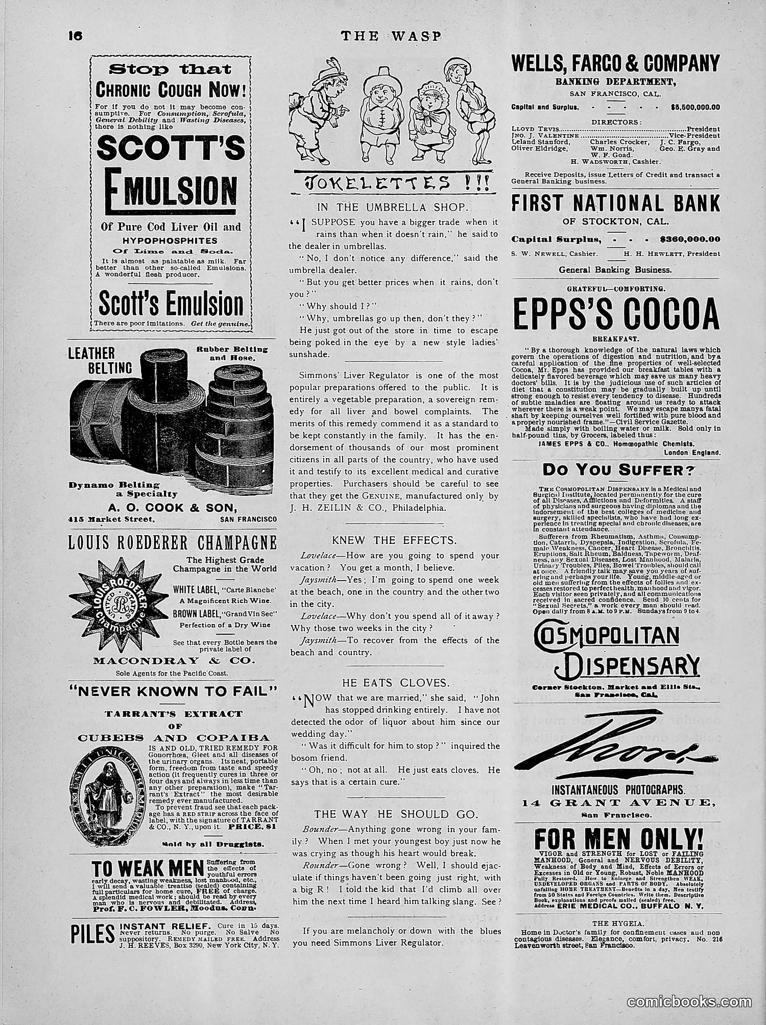 The Wasp — 1891 — page 409 of 546
