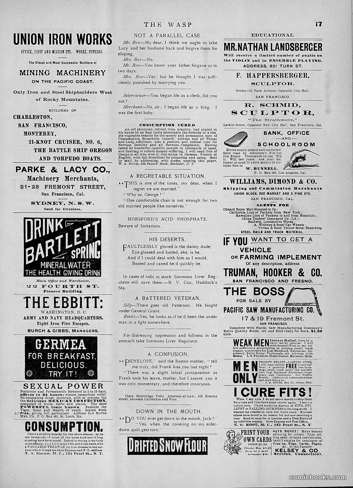The Wasp — 1891 — page 410 of 546