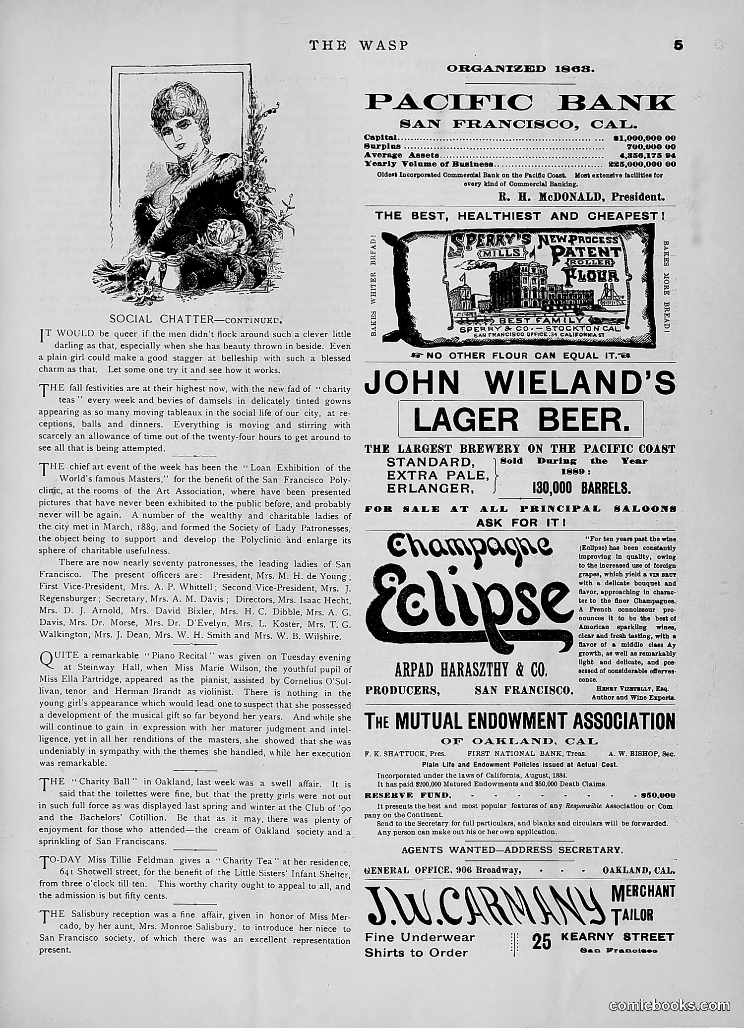 The Wasp — 1891 — page 418 of 546