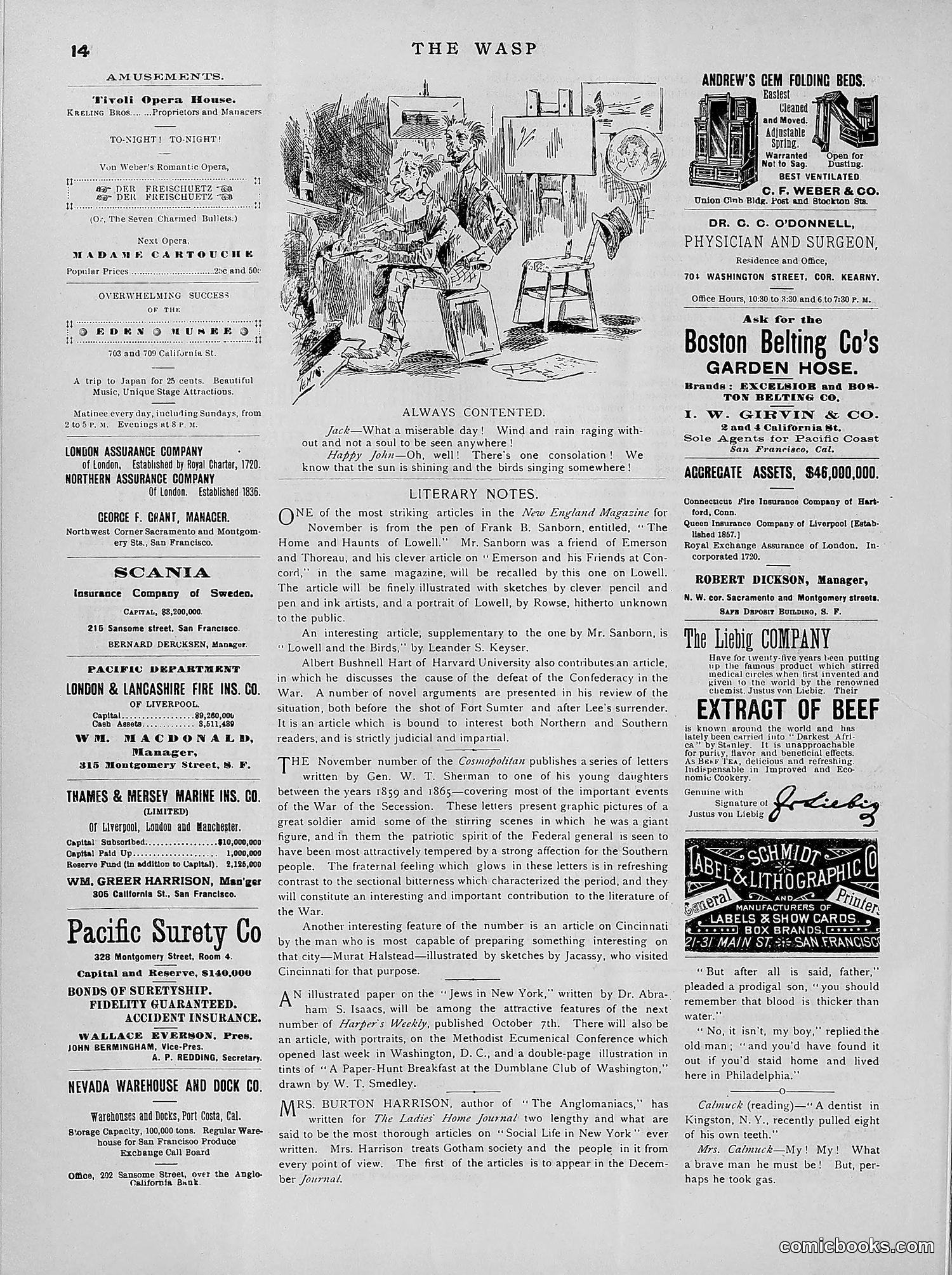 The Wasp — 1891 — page 427 of 546