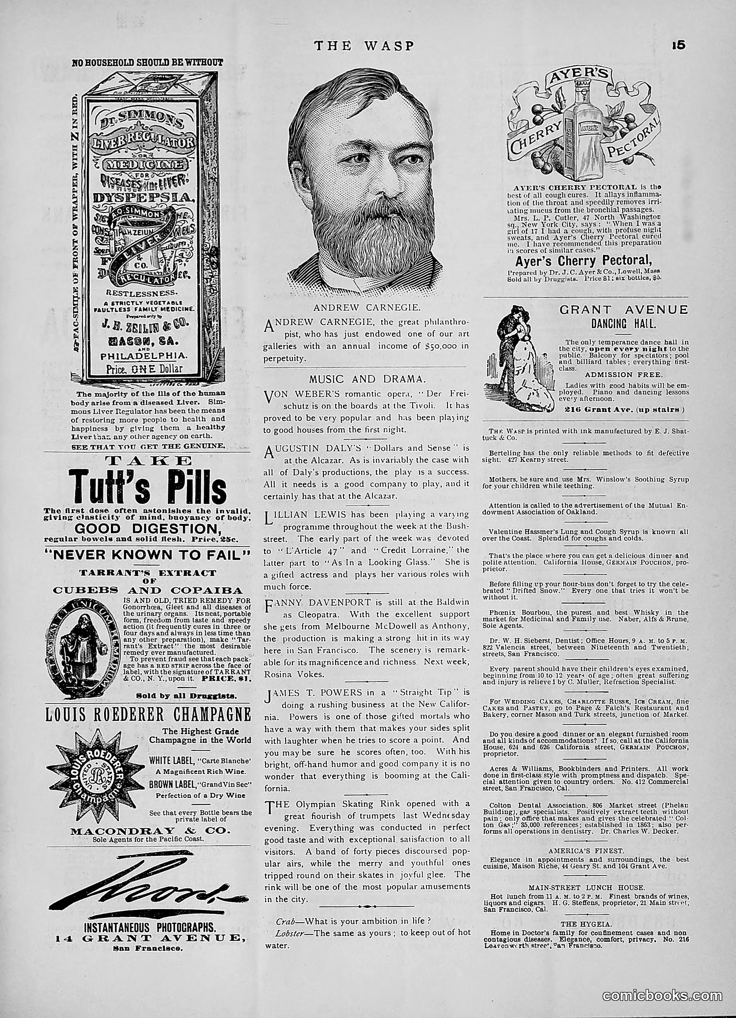 The Wasp — 1891 — page 428 of 546