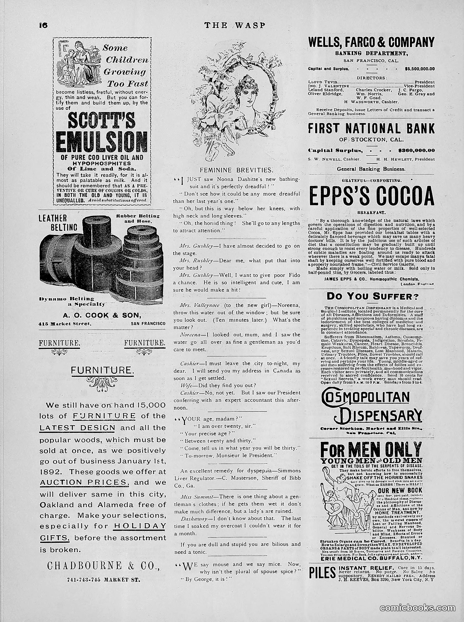 The Wasp — 1891 — page 429 of 546