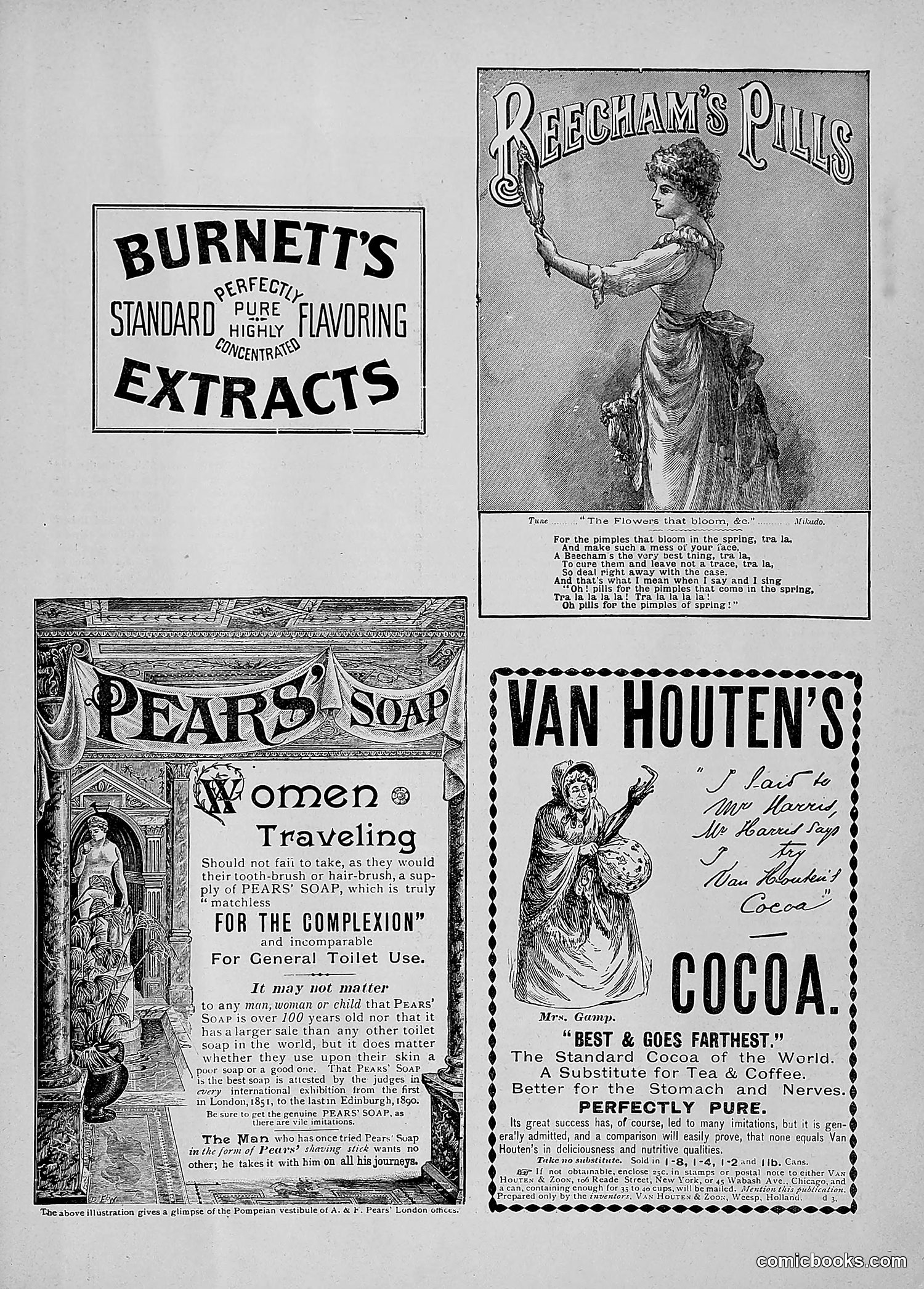 The Wasp — 1891 — page 44 of 546
