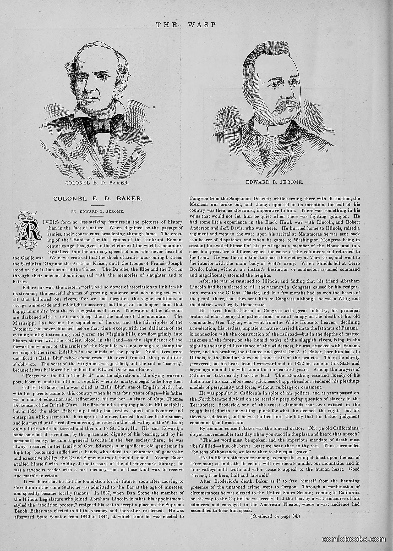 The Wasp — 1891 — page 45 of 546