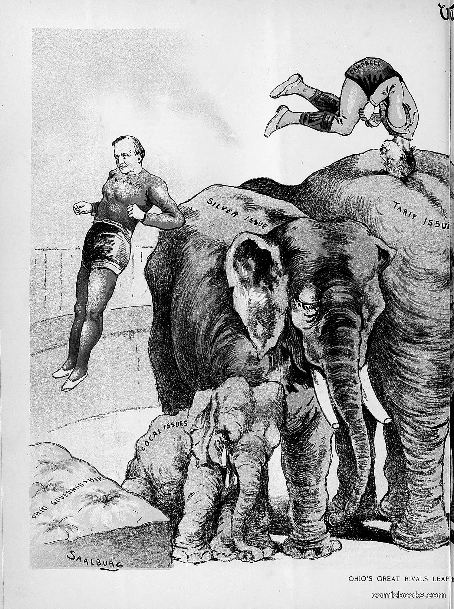The Wasp — 1891 — page 443 of 546