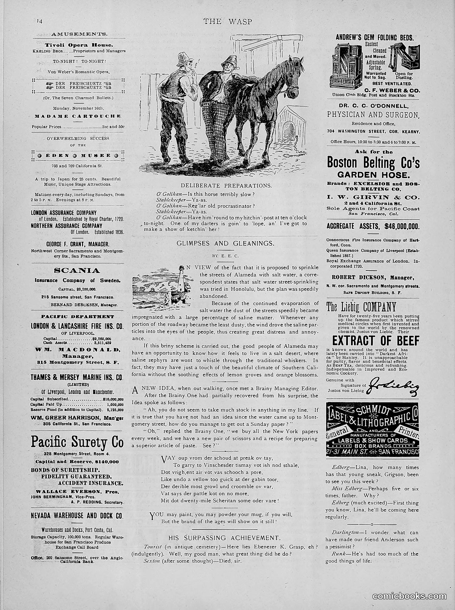 The Wasp — 1891 — page 447 of 546