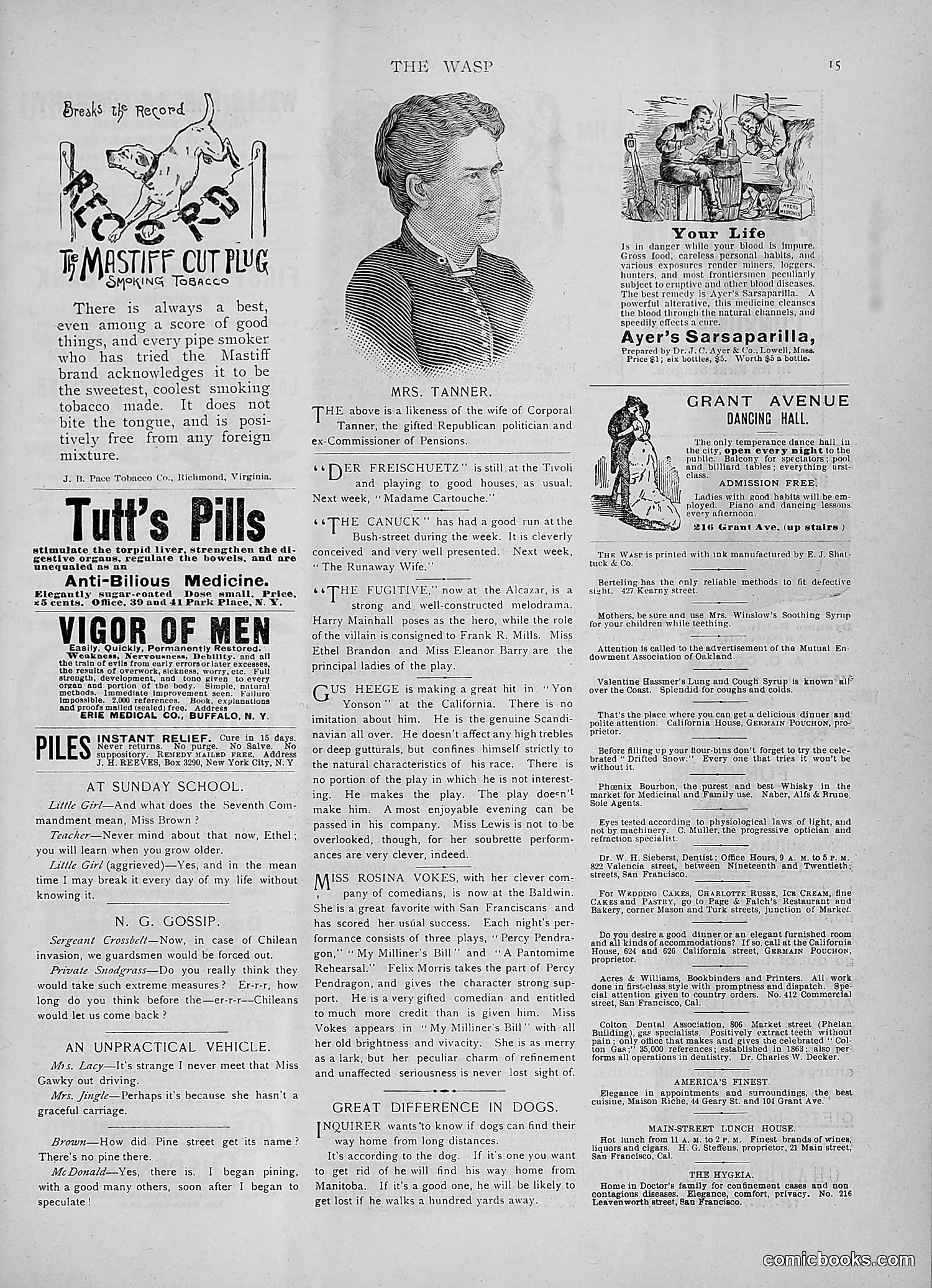The Wasp — 1891 — page 448 of 546