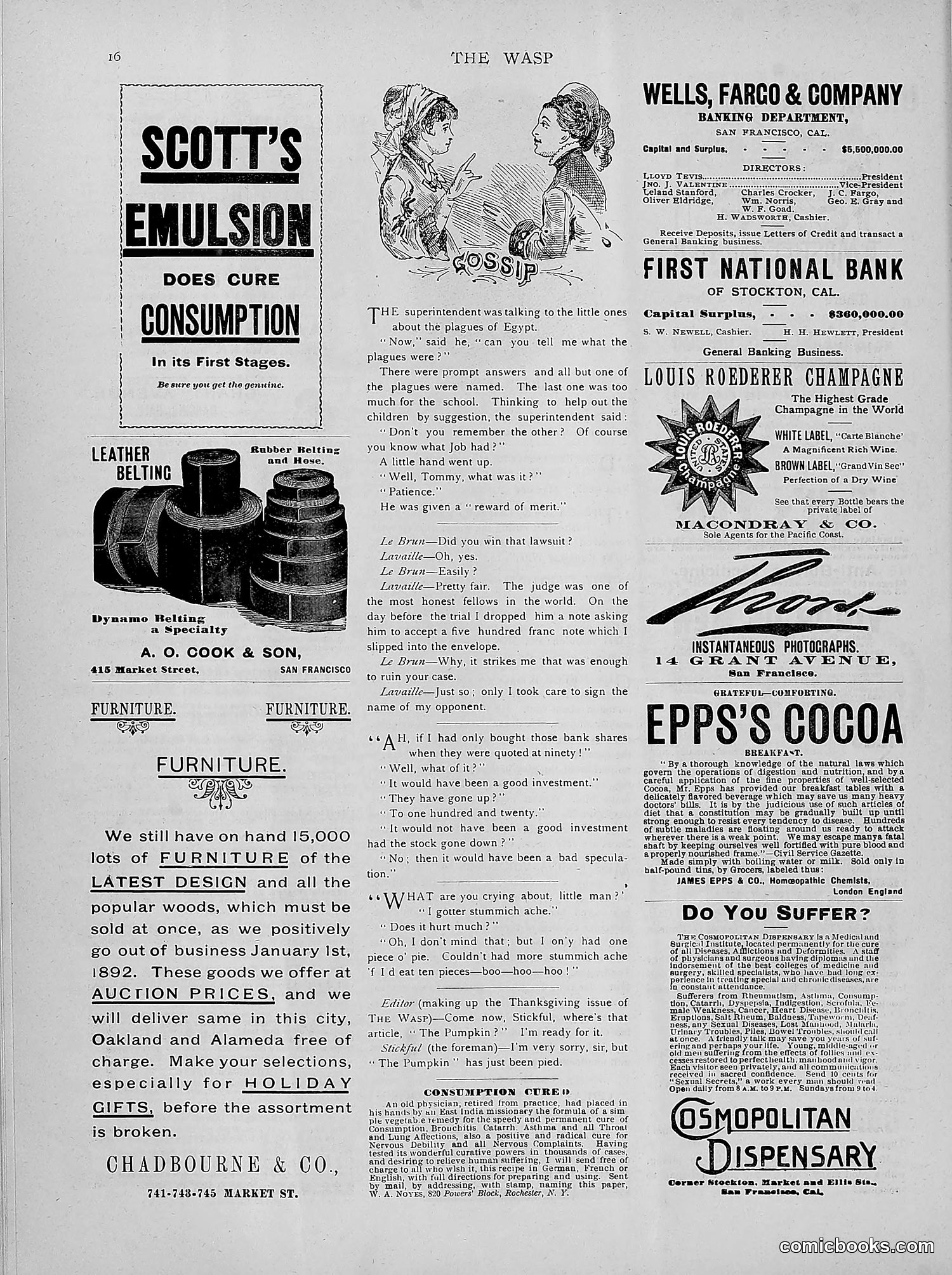 The Wasp — 1891 — page 449 of 546