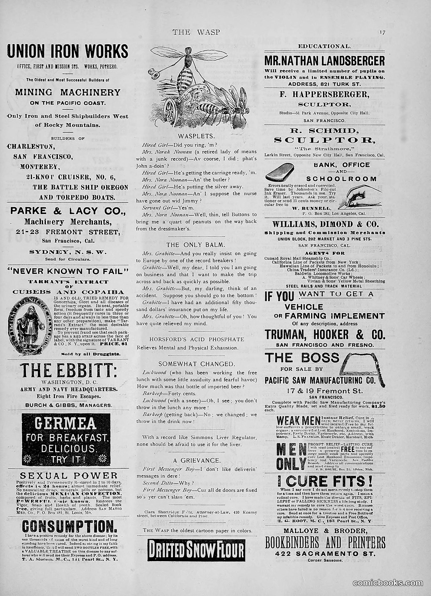 The Wasp — 1891 — page 450 of 546