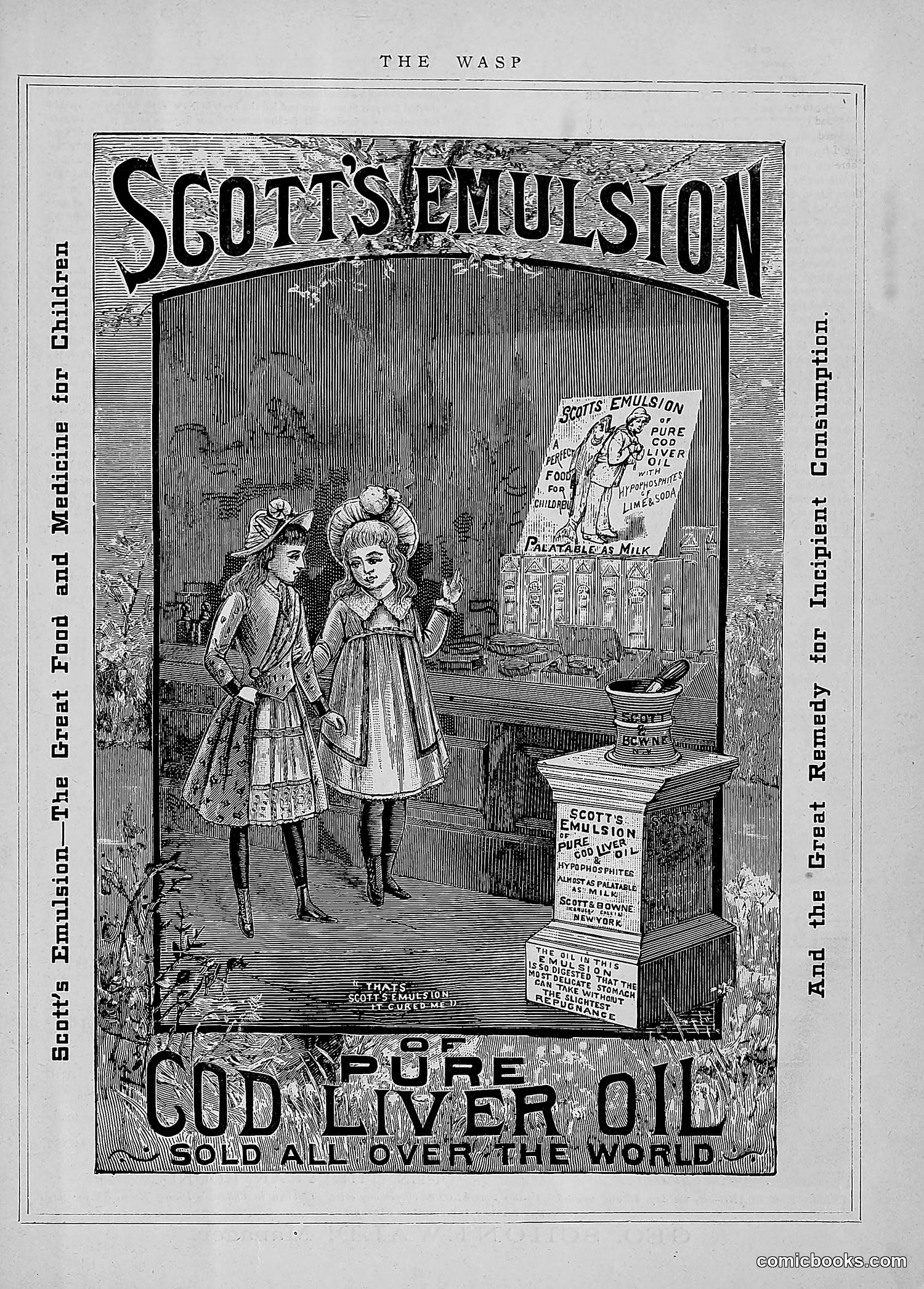 The Wasp — 1891 — page 46 of 546