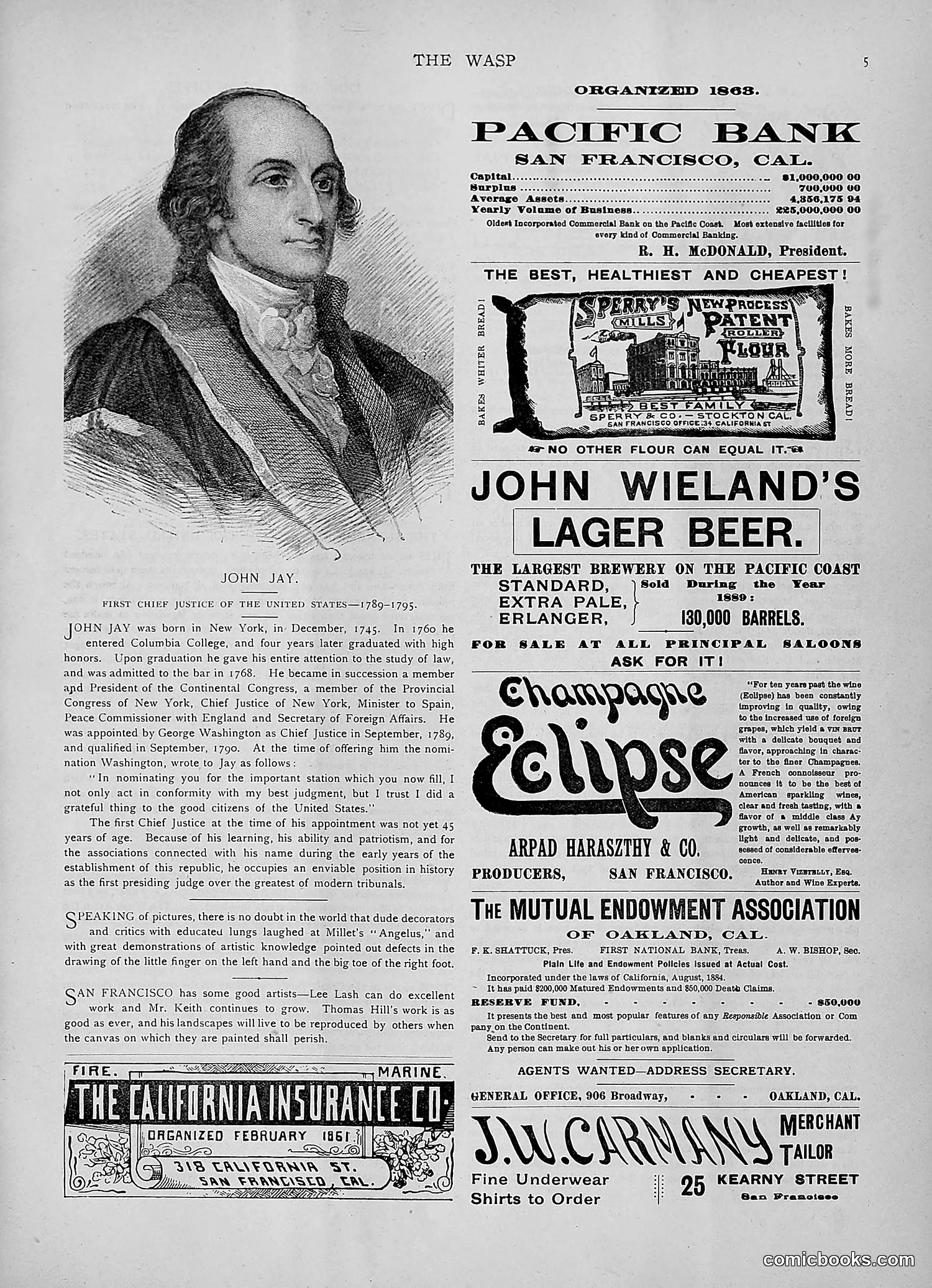 The Wasp — 1891 — page 458 of 546