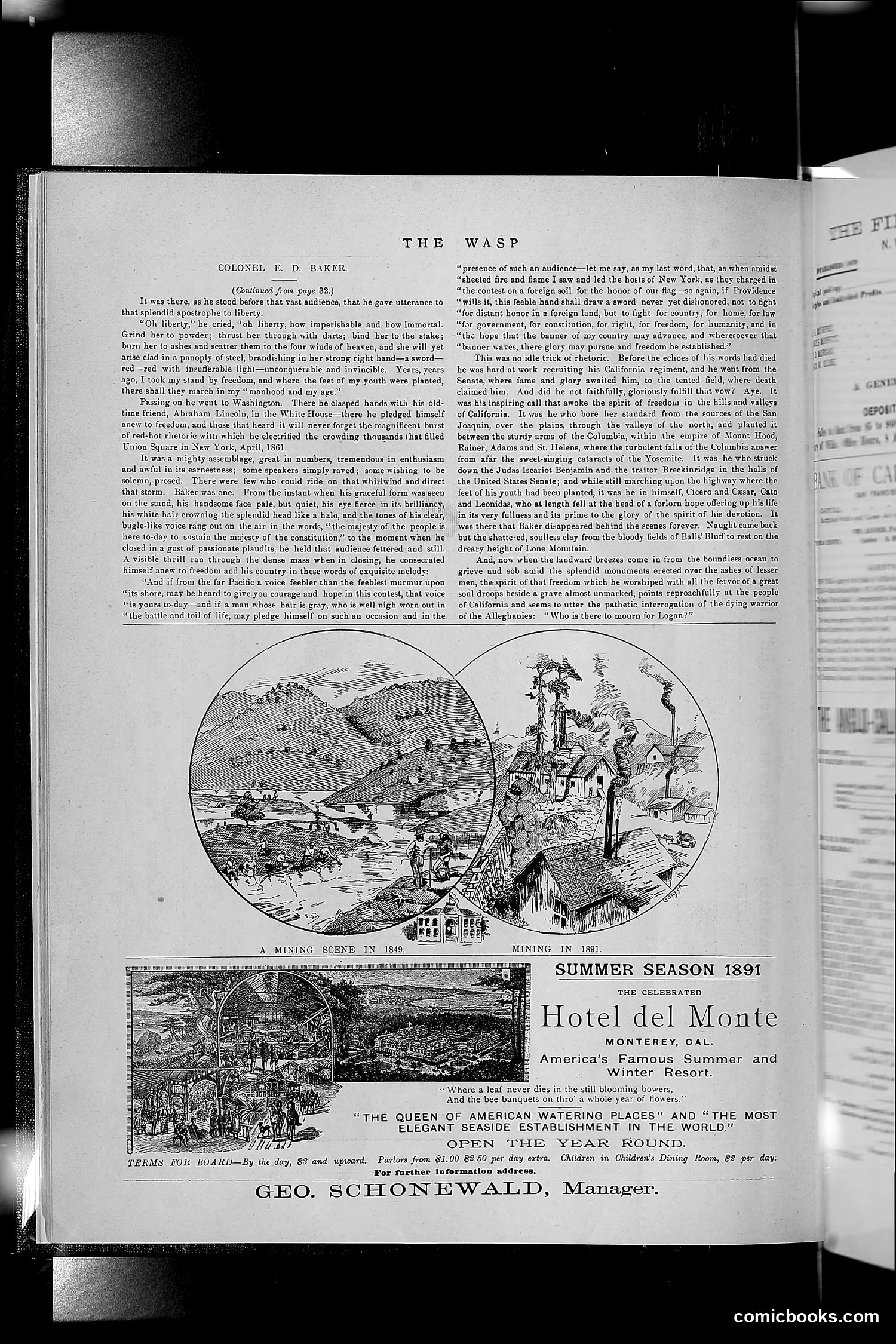 The Wasp — 1891 — page 47 of 546