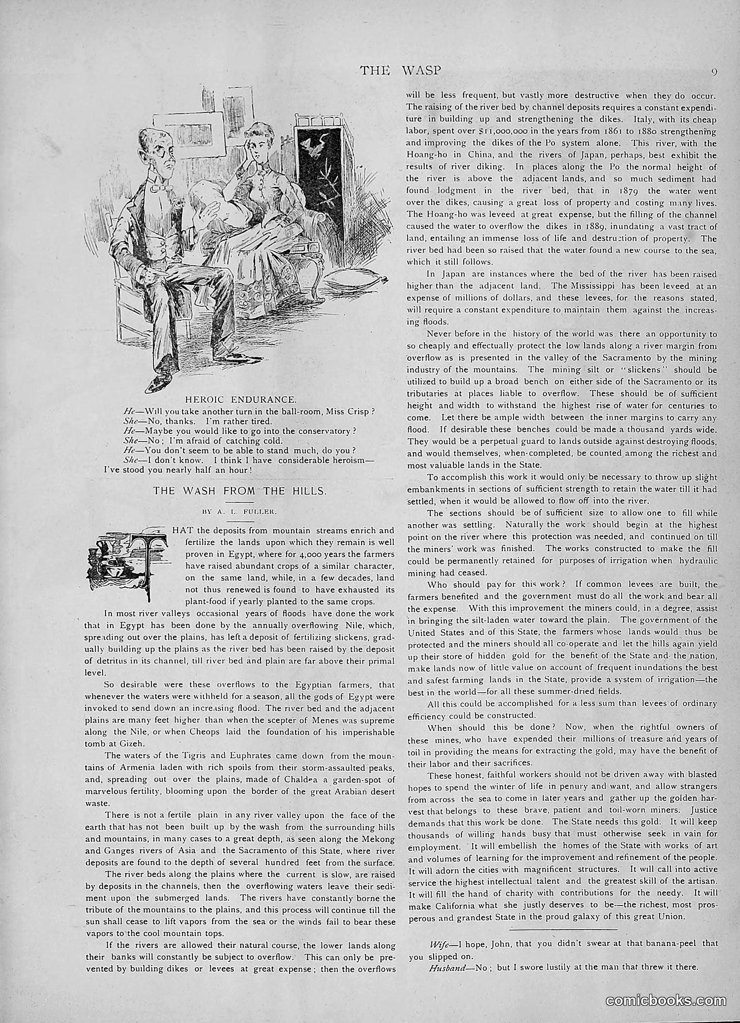 The Wasp — 1891 — page 462 of 546