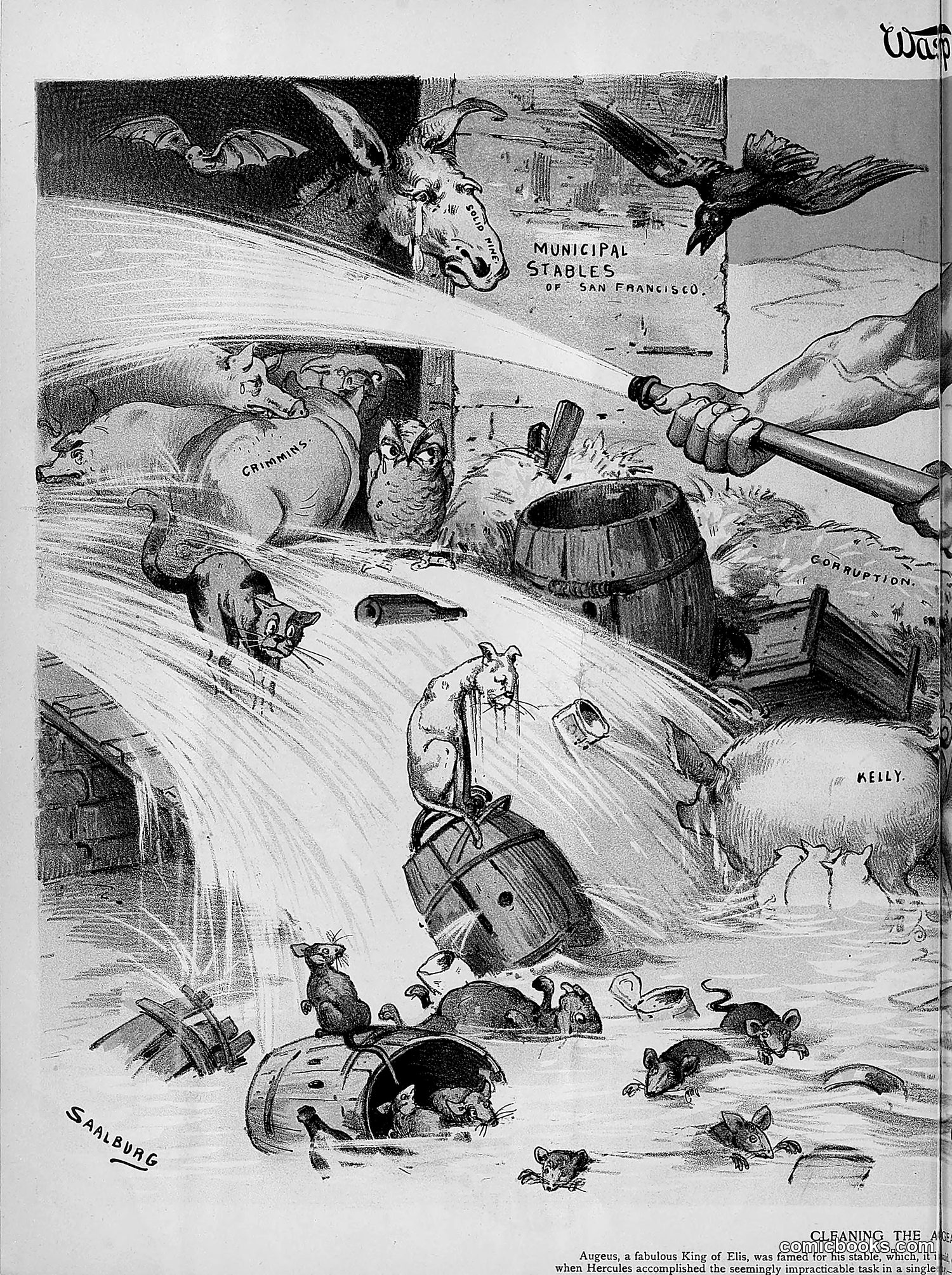 The Wasp — 1891 — page 463 of 546